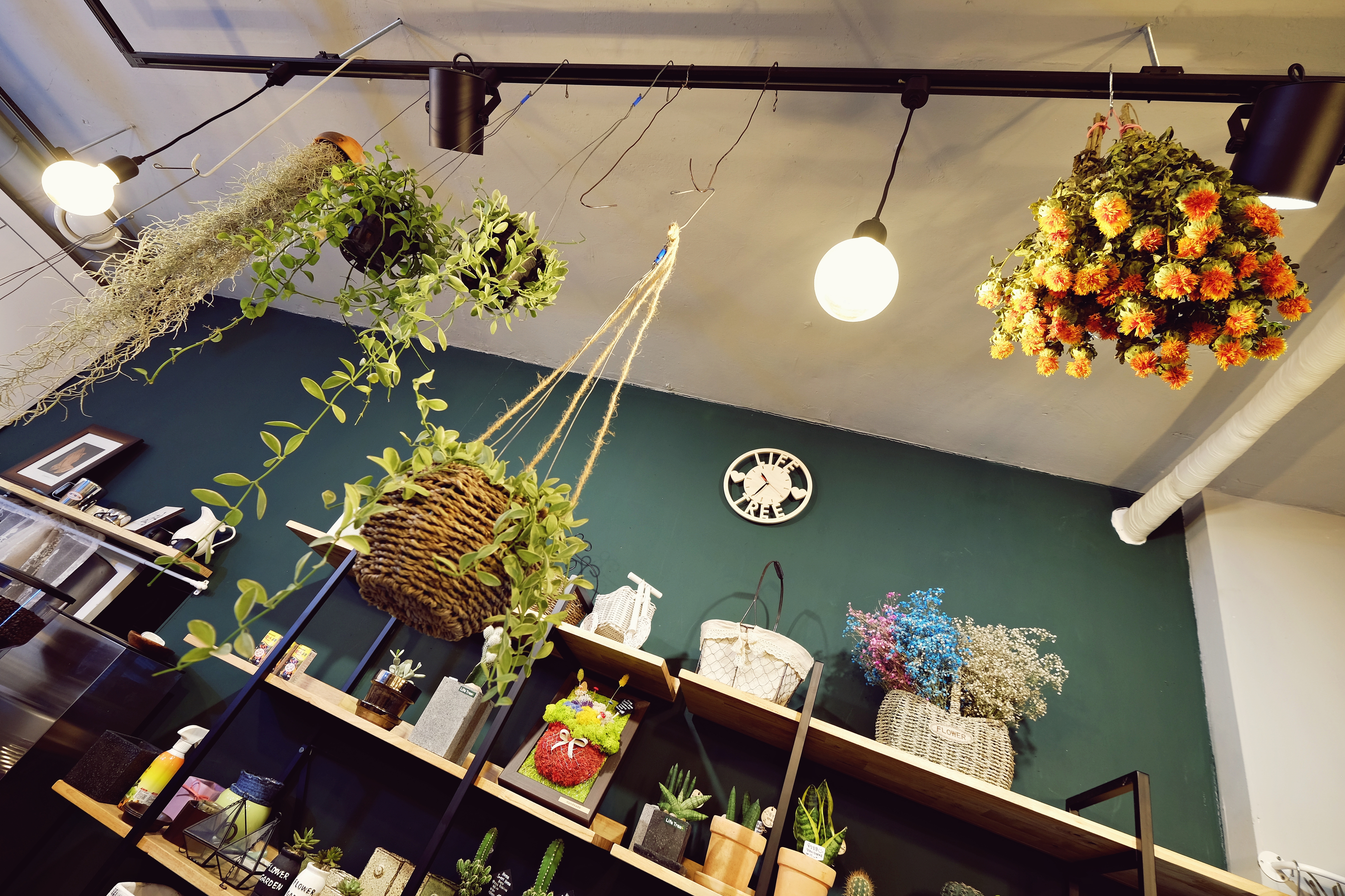 Life Tree 대표 이미지