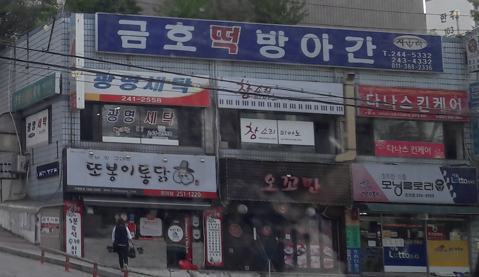 모닝글로리 온의점