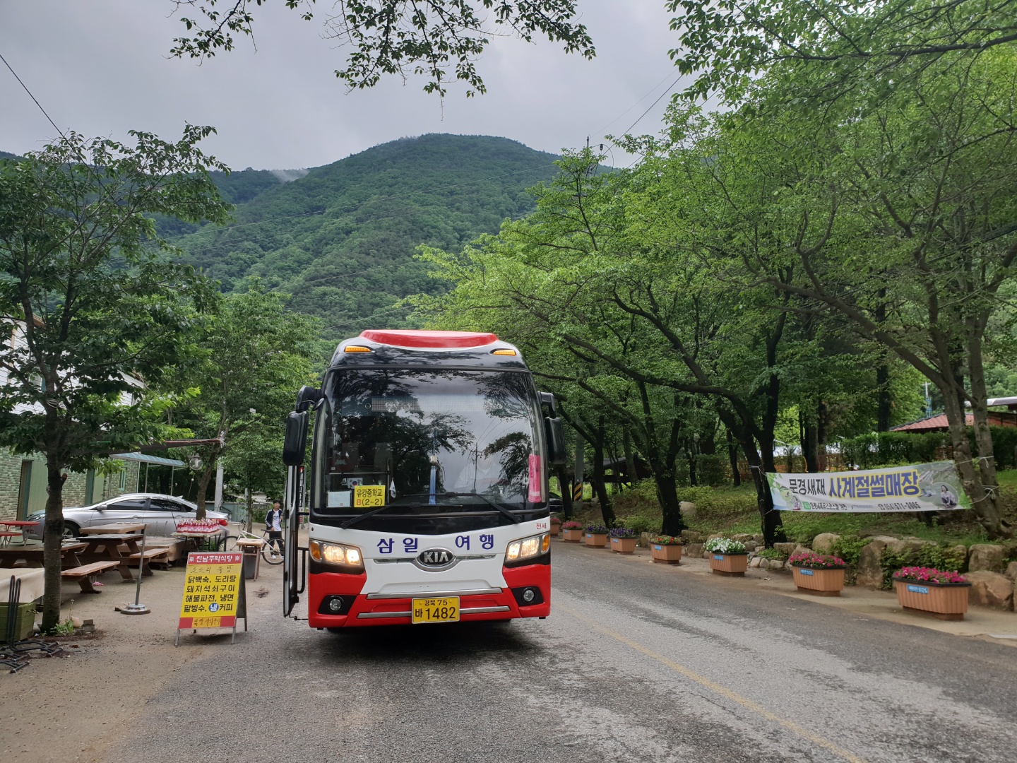 삼일여행사