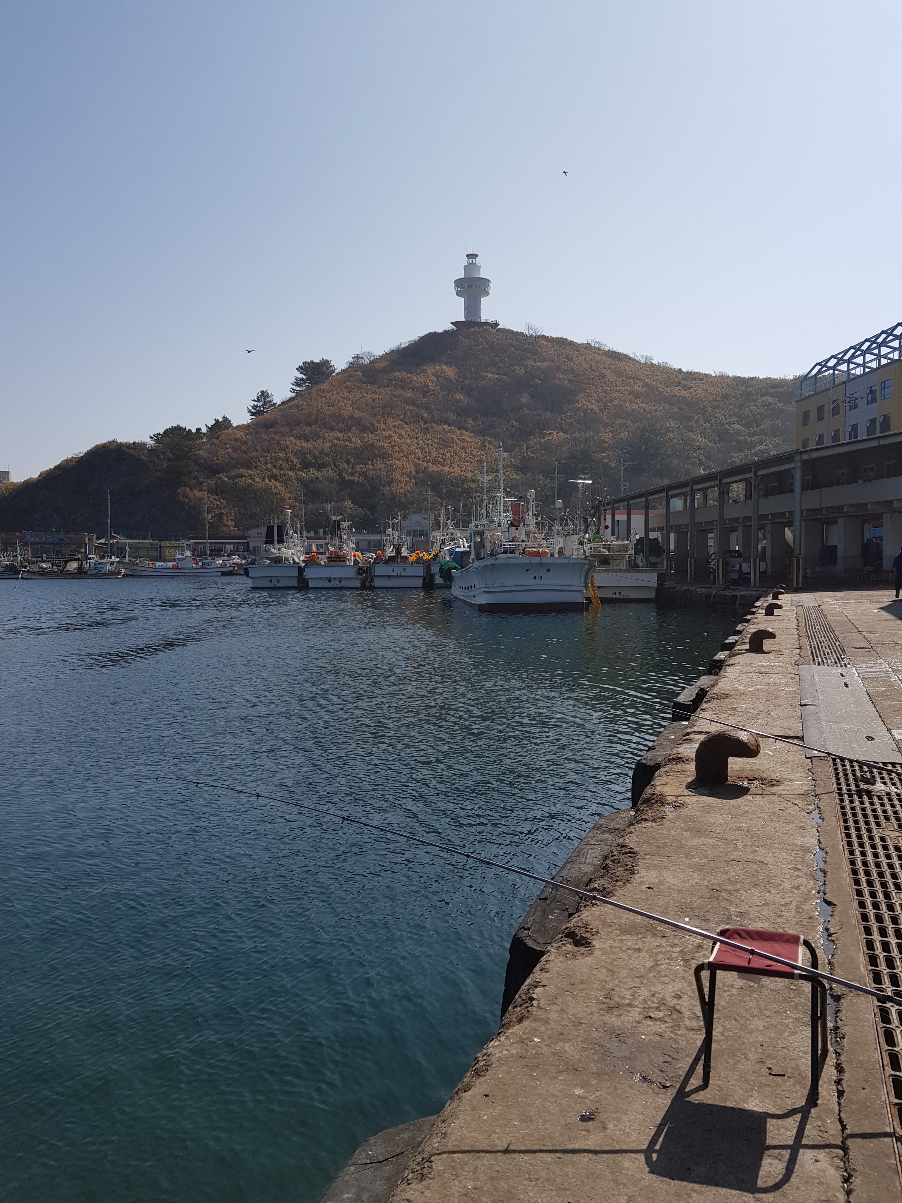 대진항민박
