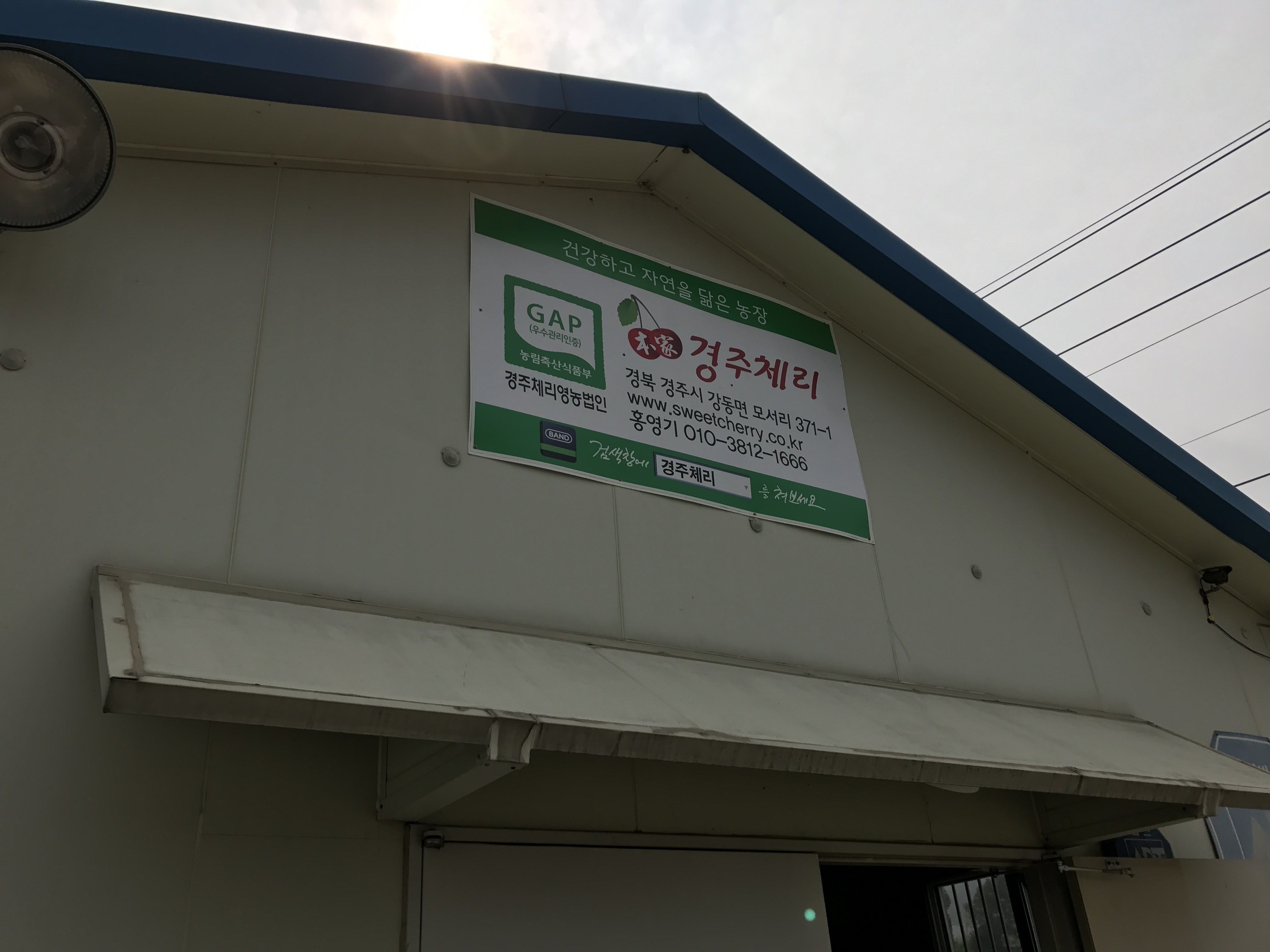 포구순대