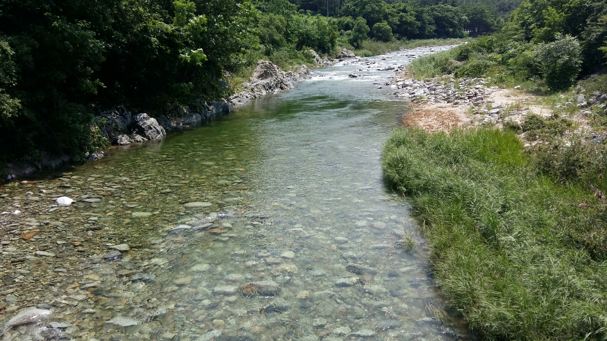 골짜구니 민박 캠핑장