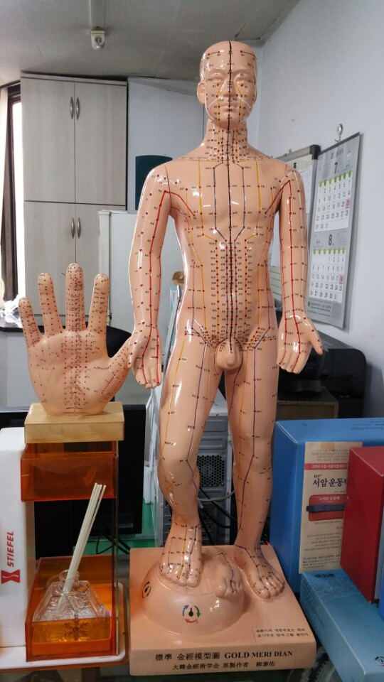 고려수지침 동수원지회