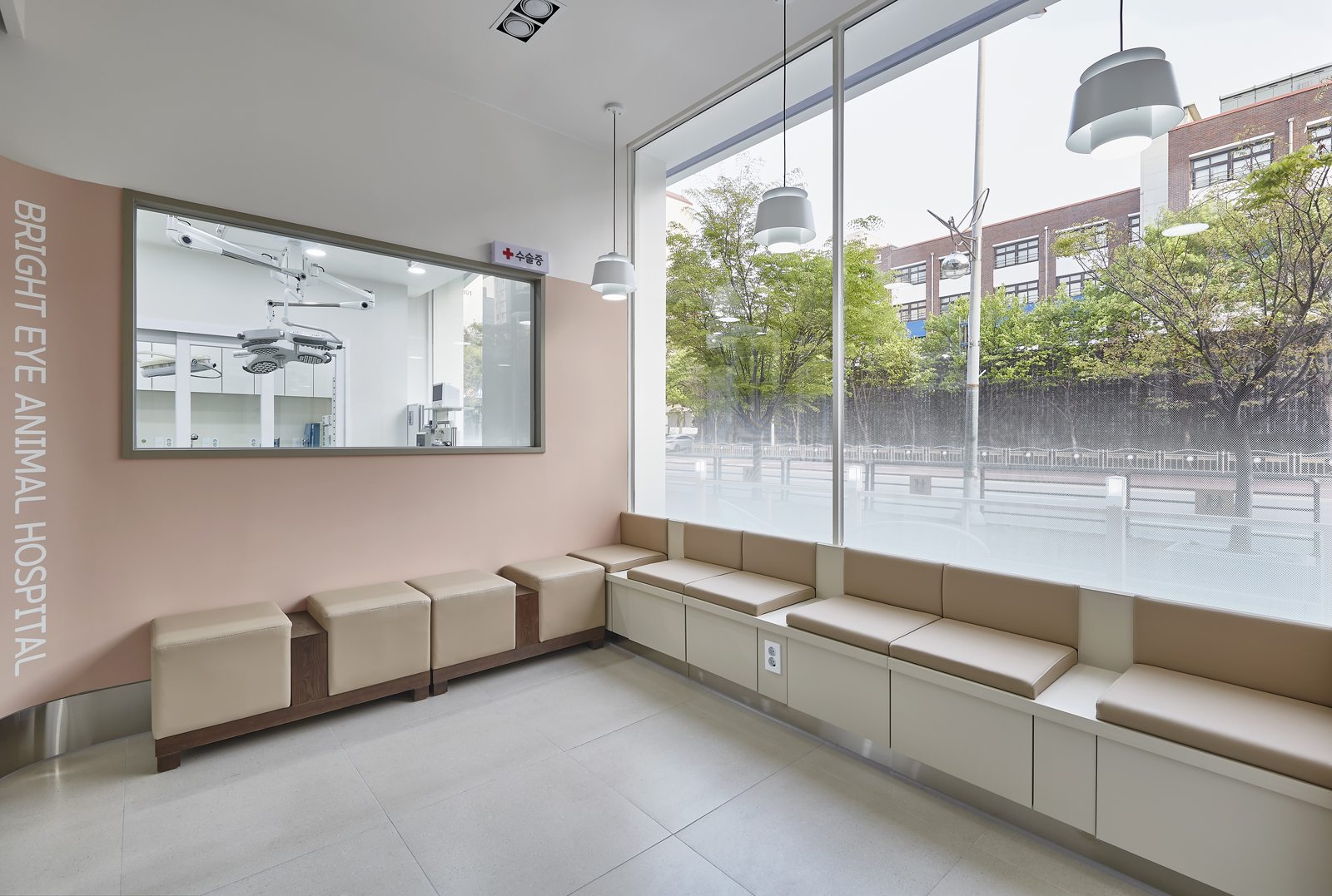 분당밝은아이동물병원 대표 이미지