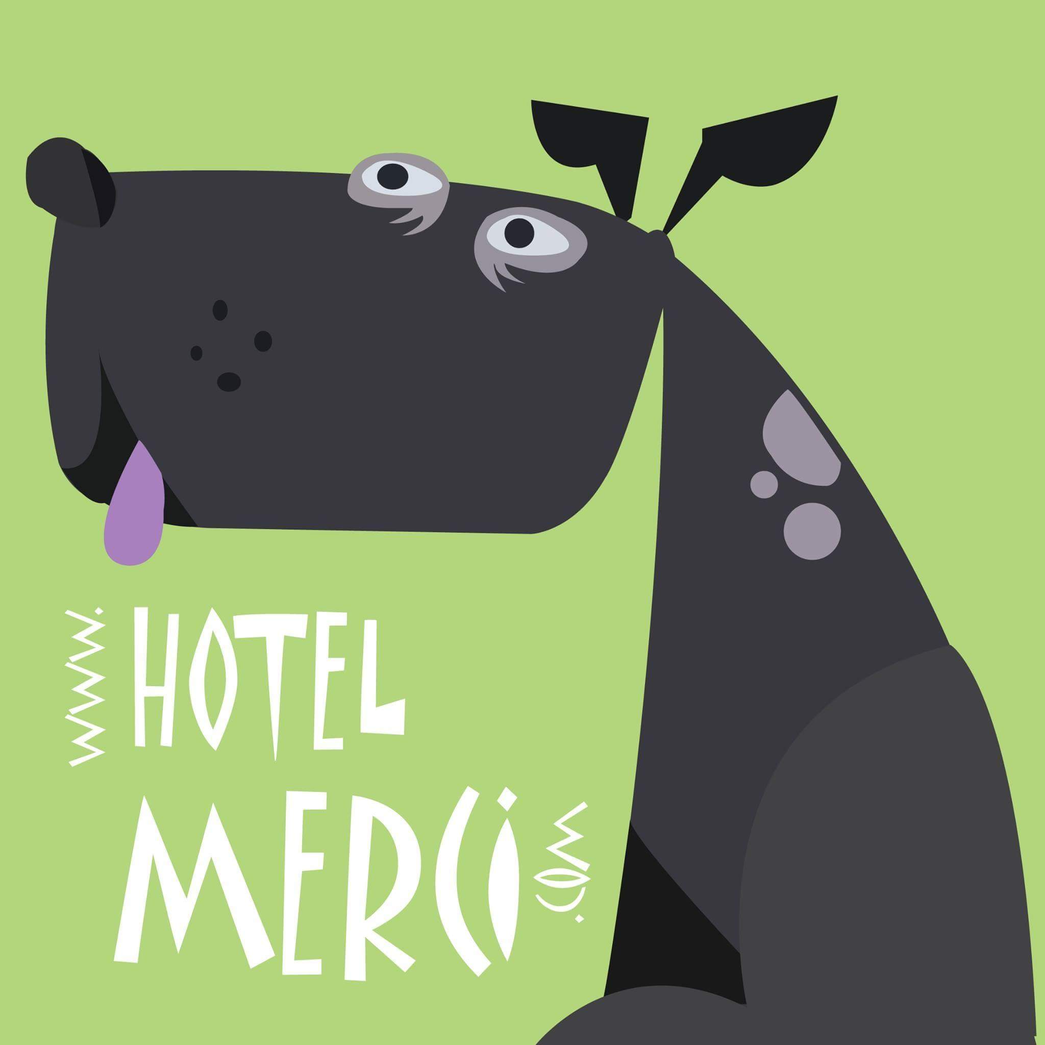 애견호텔맥시 대표 이미지