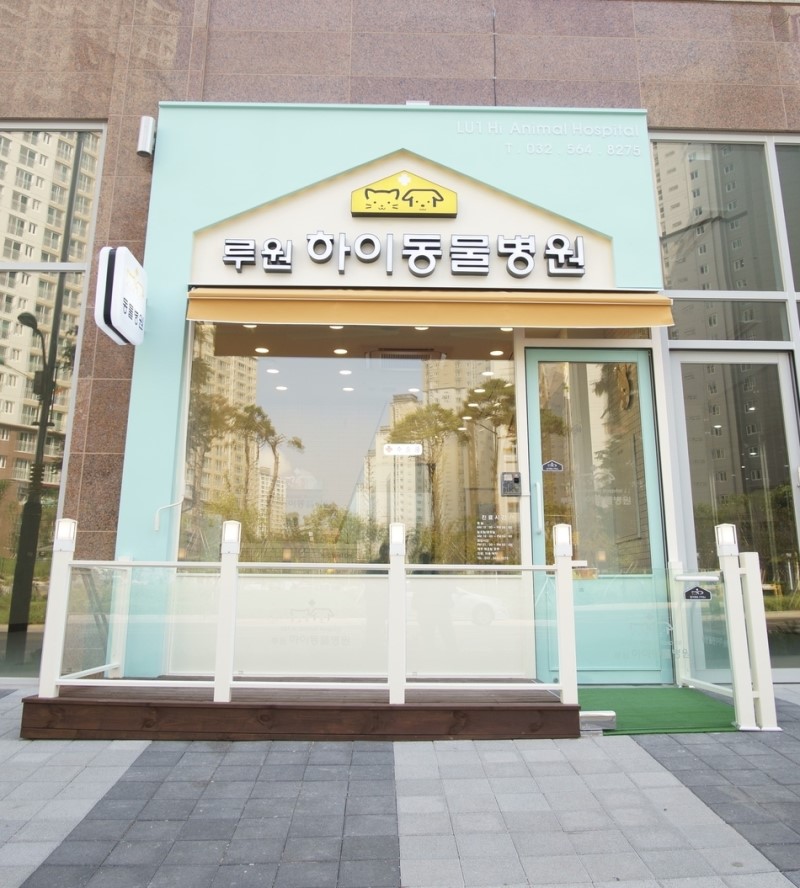 루원하이동물병원 대표 이미지