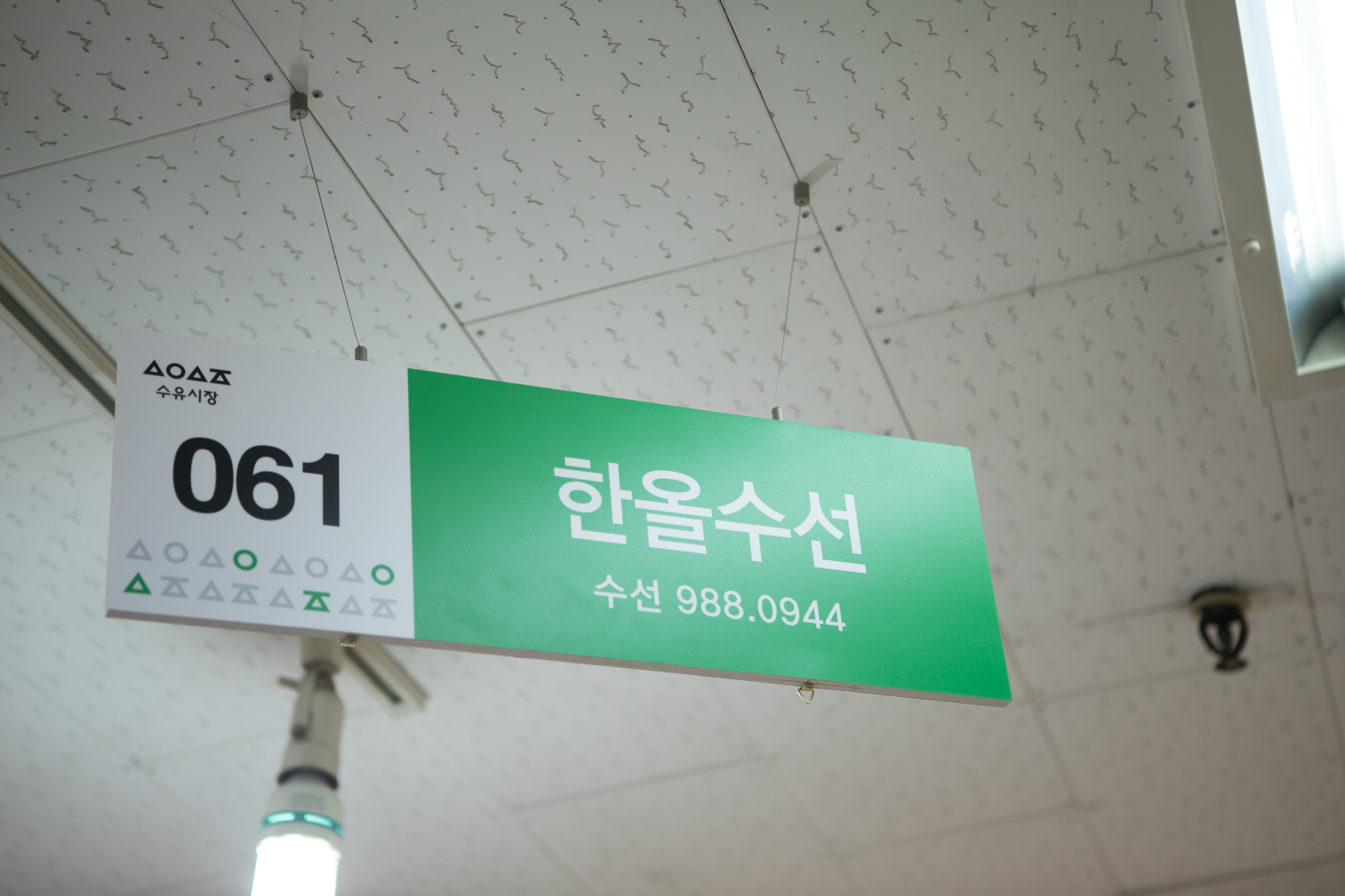 한올수선