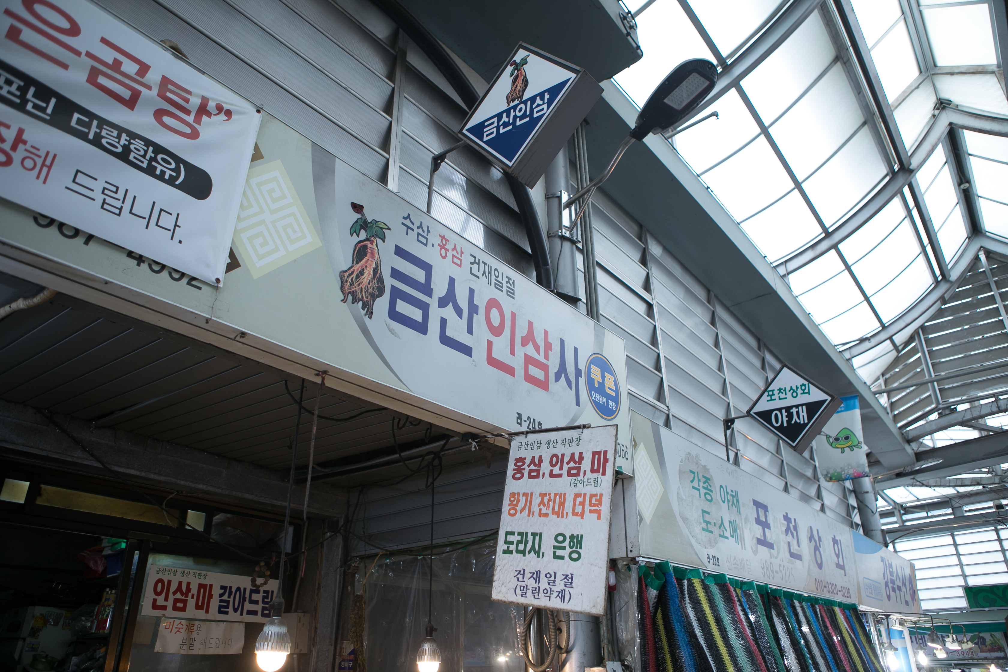 금산인삼