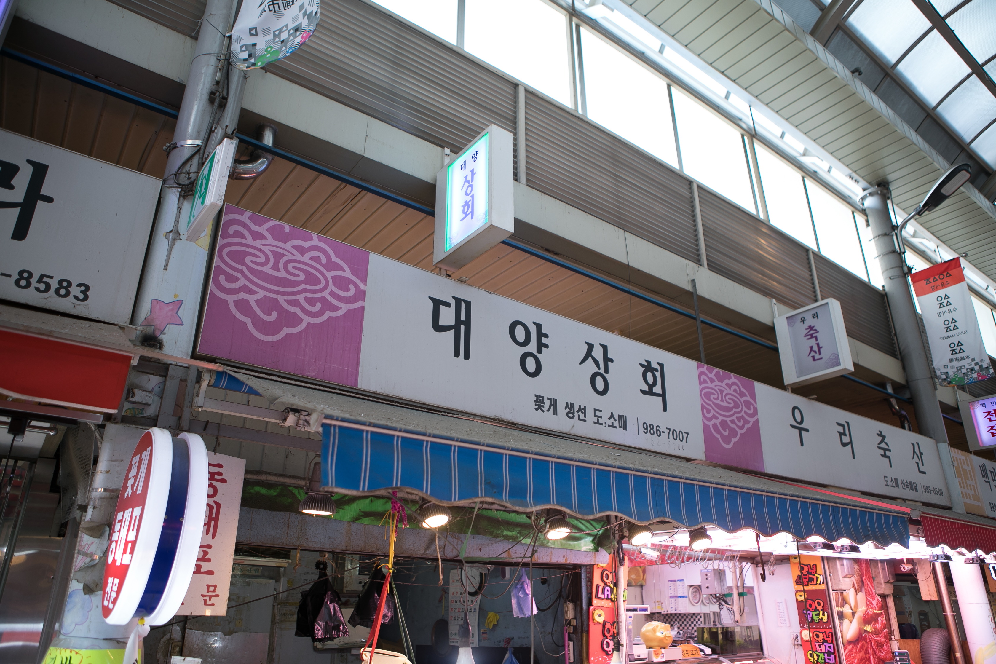 대양상회