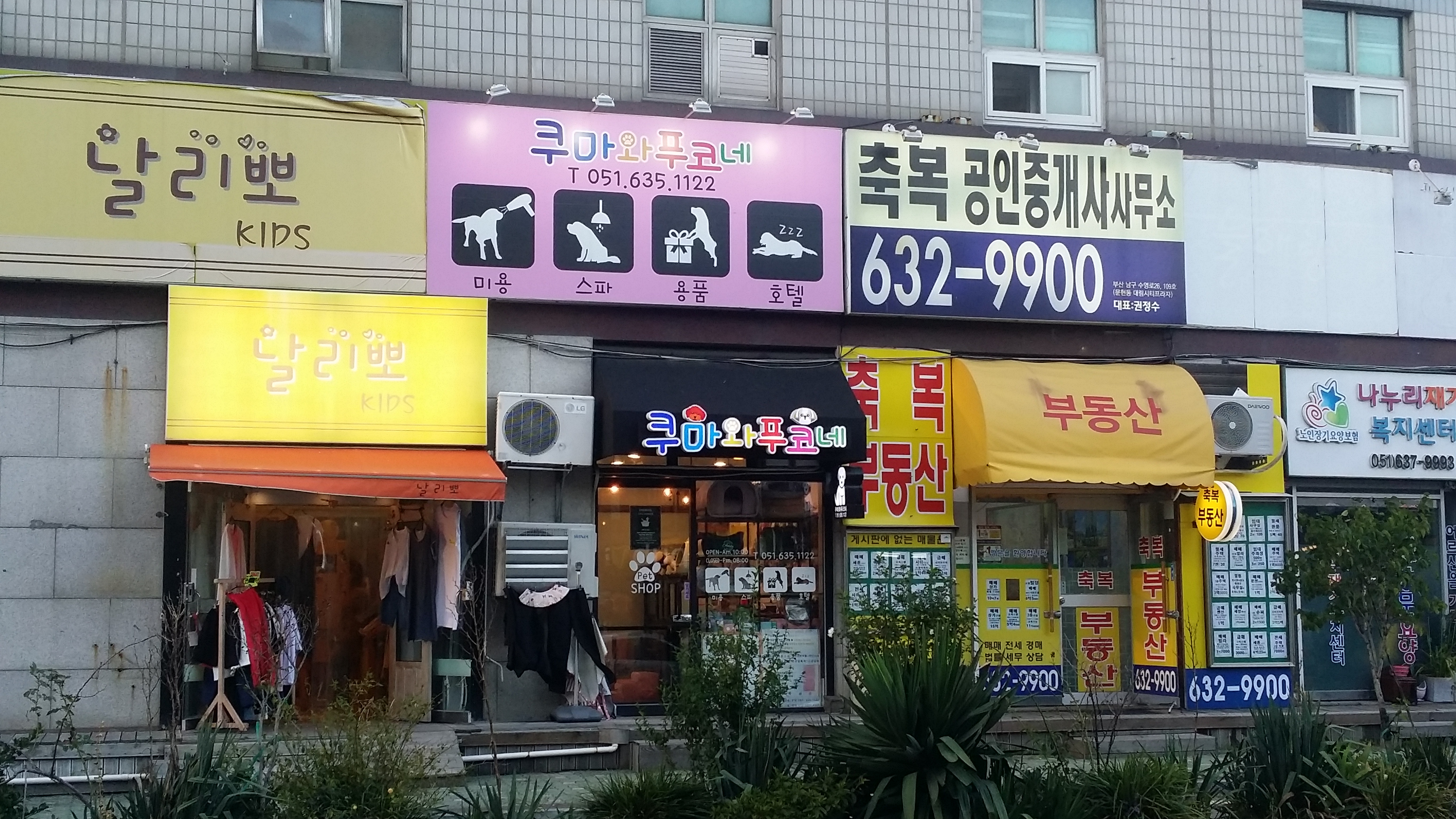 쿠마와푸코네 대표 이미지