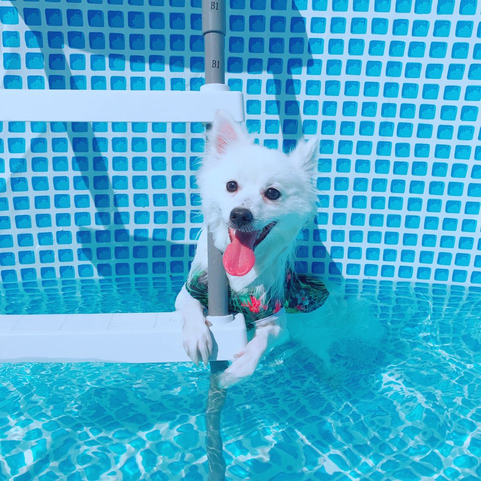 놀개나개 대표 이미지