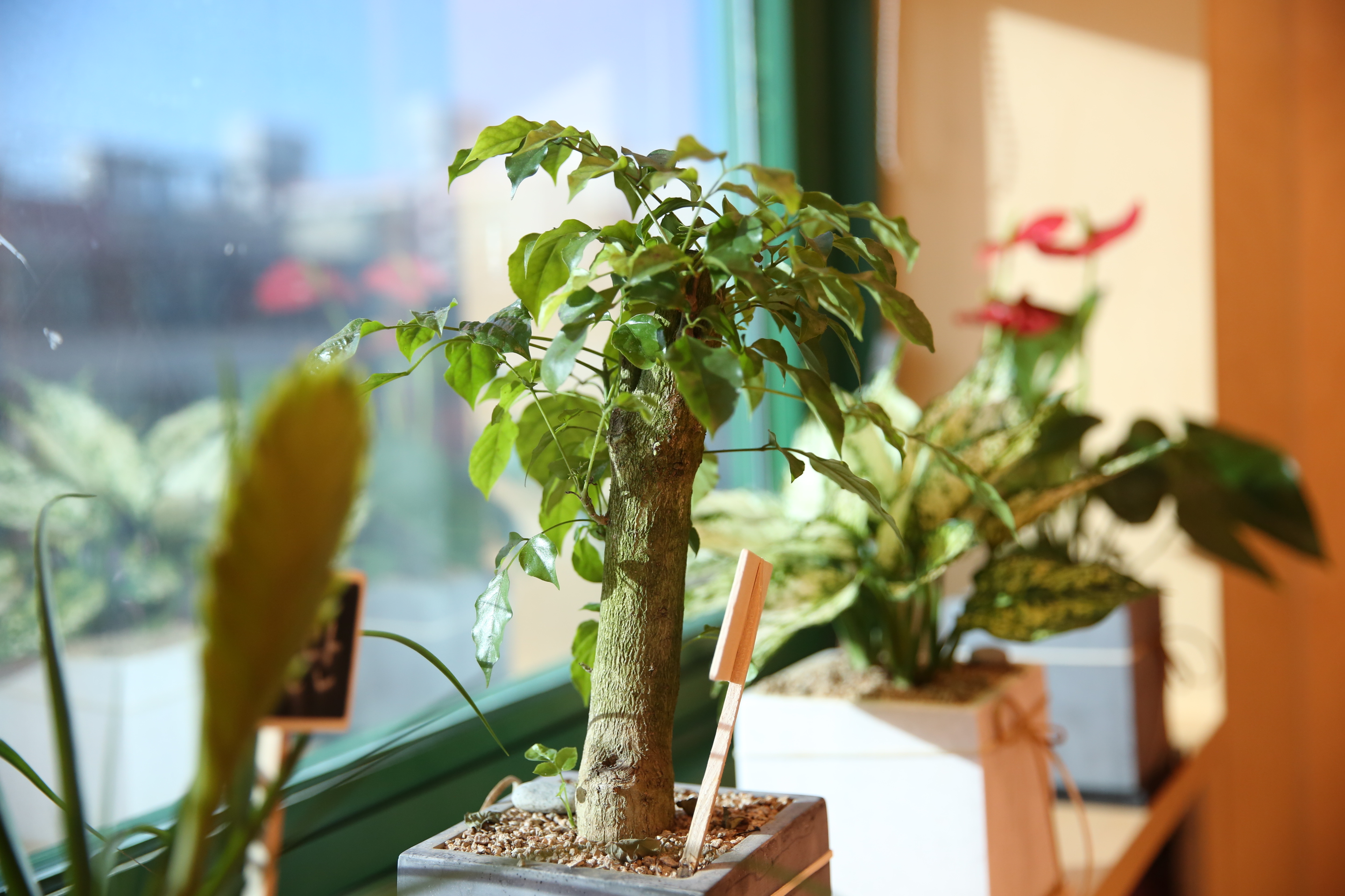 아메리카요가 중계점 대표 이미지