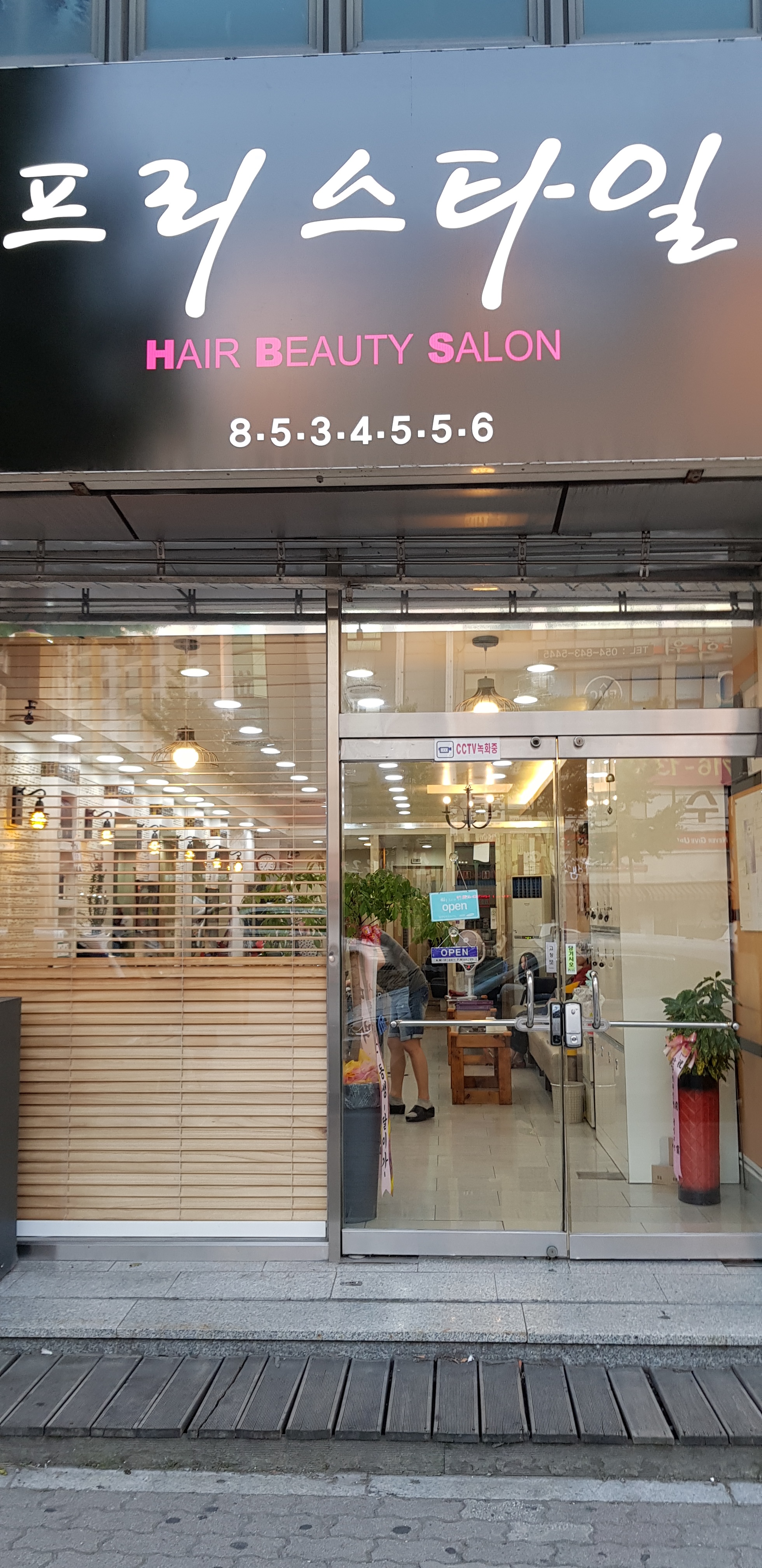 프리스타일