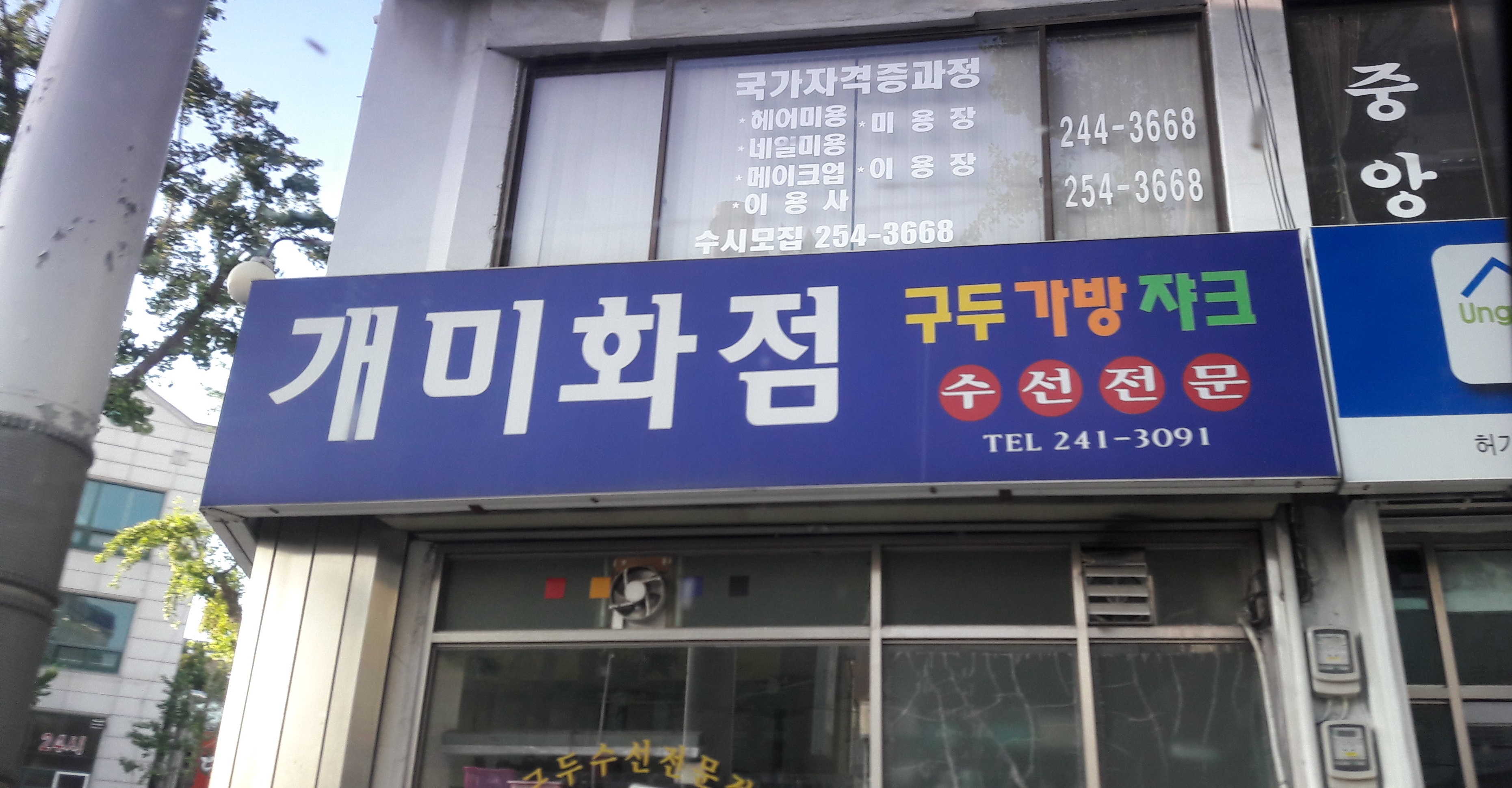 개미화점
