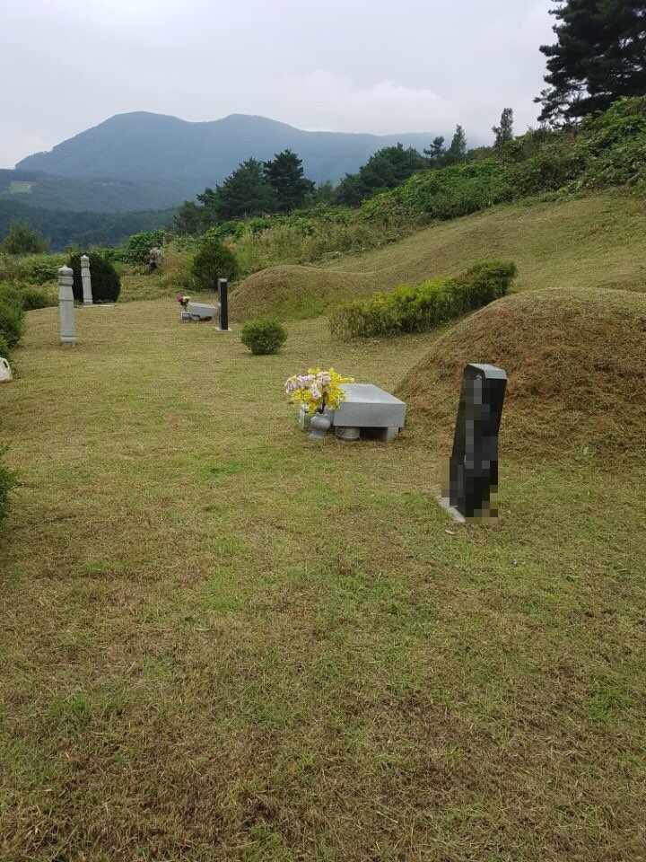 성원벌초대행