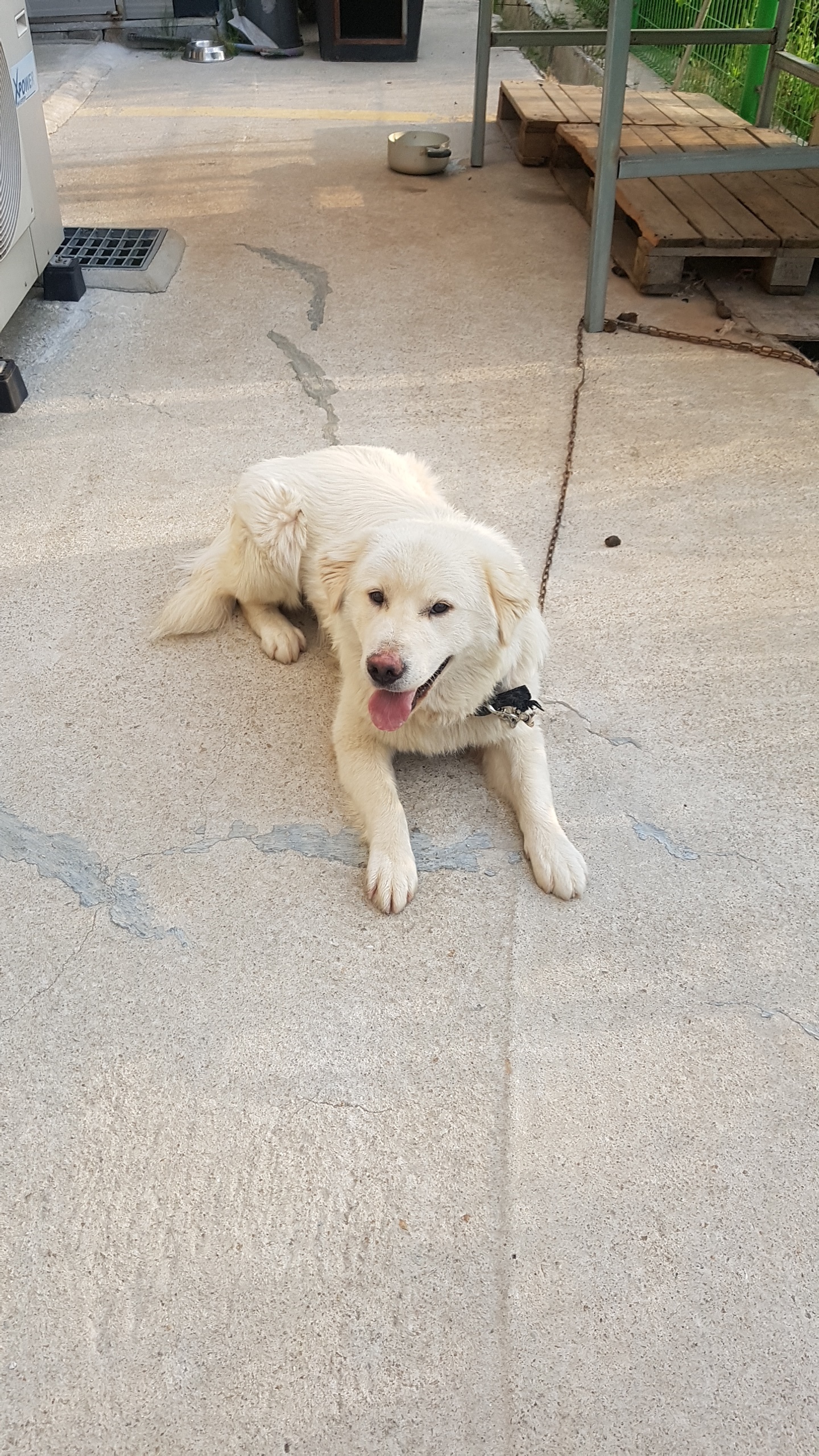 킹스타이어 대표 이미지