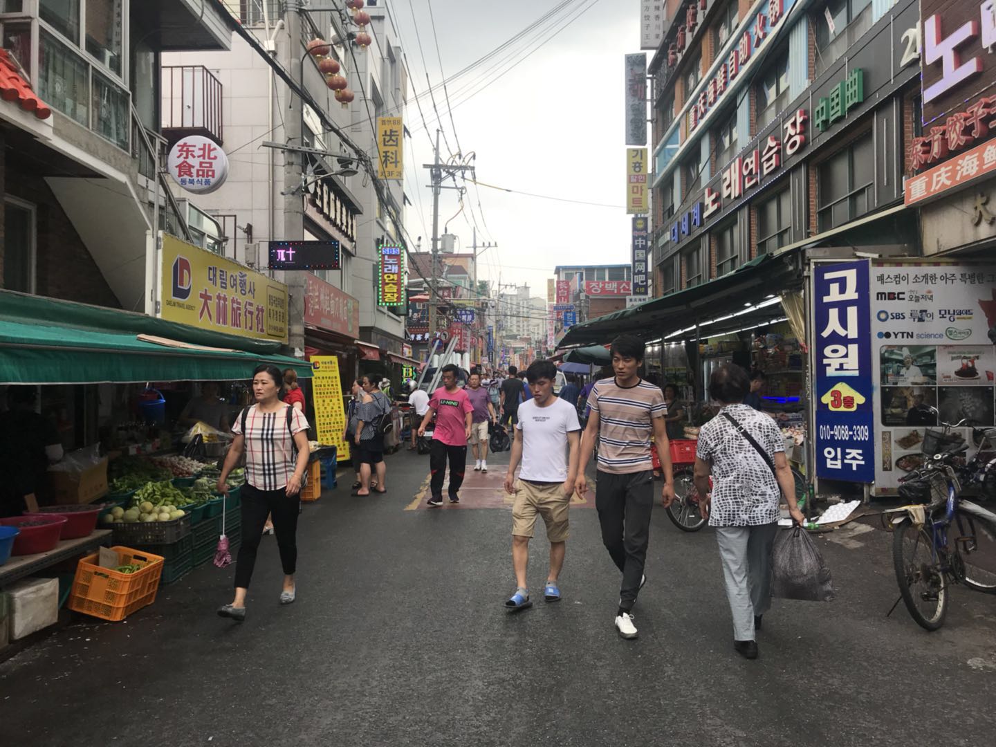 대림여행사