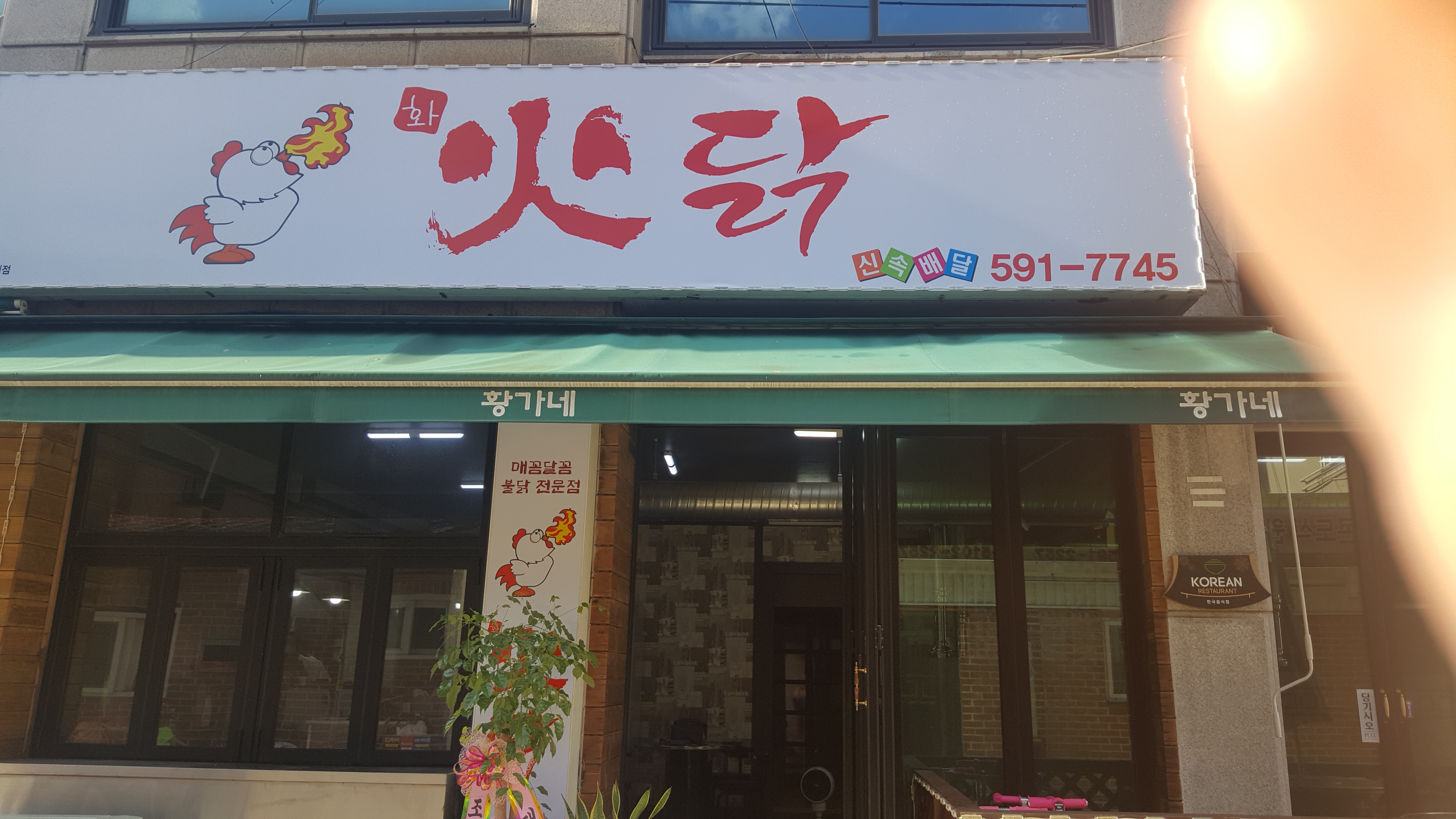 화닭