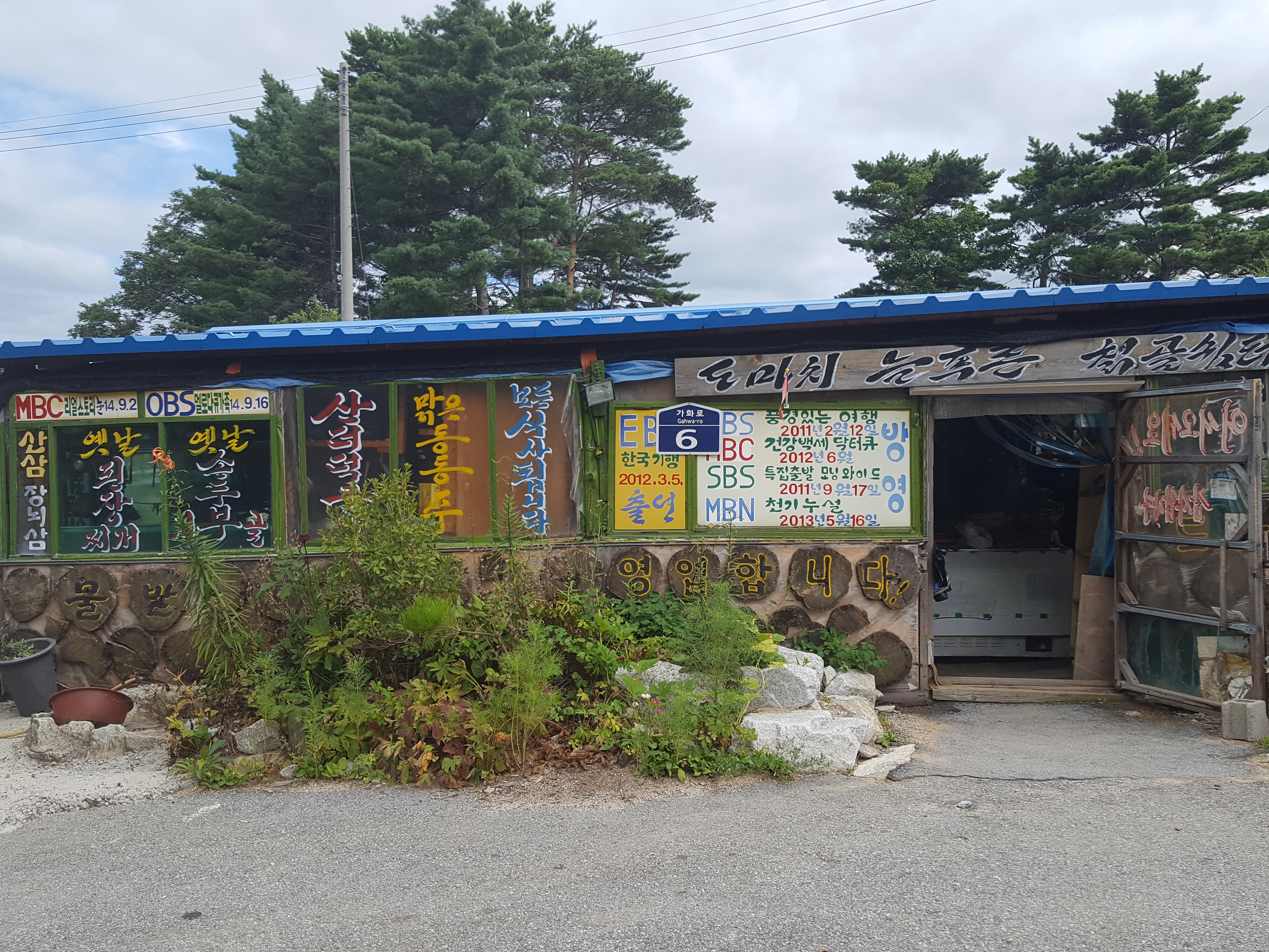 도마치늘푸른칡골쉼터