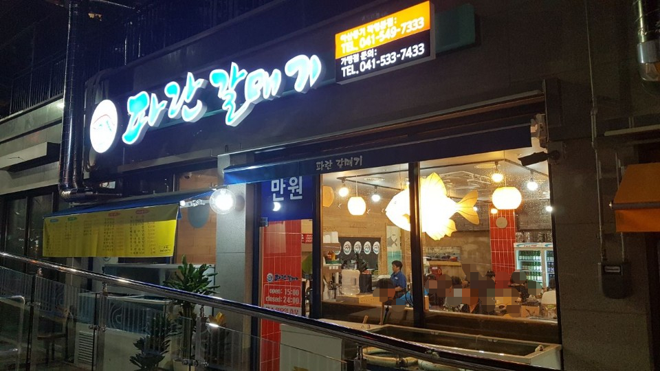 파란갈매기