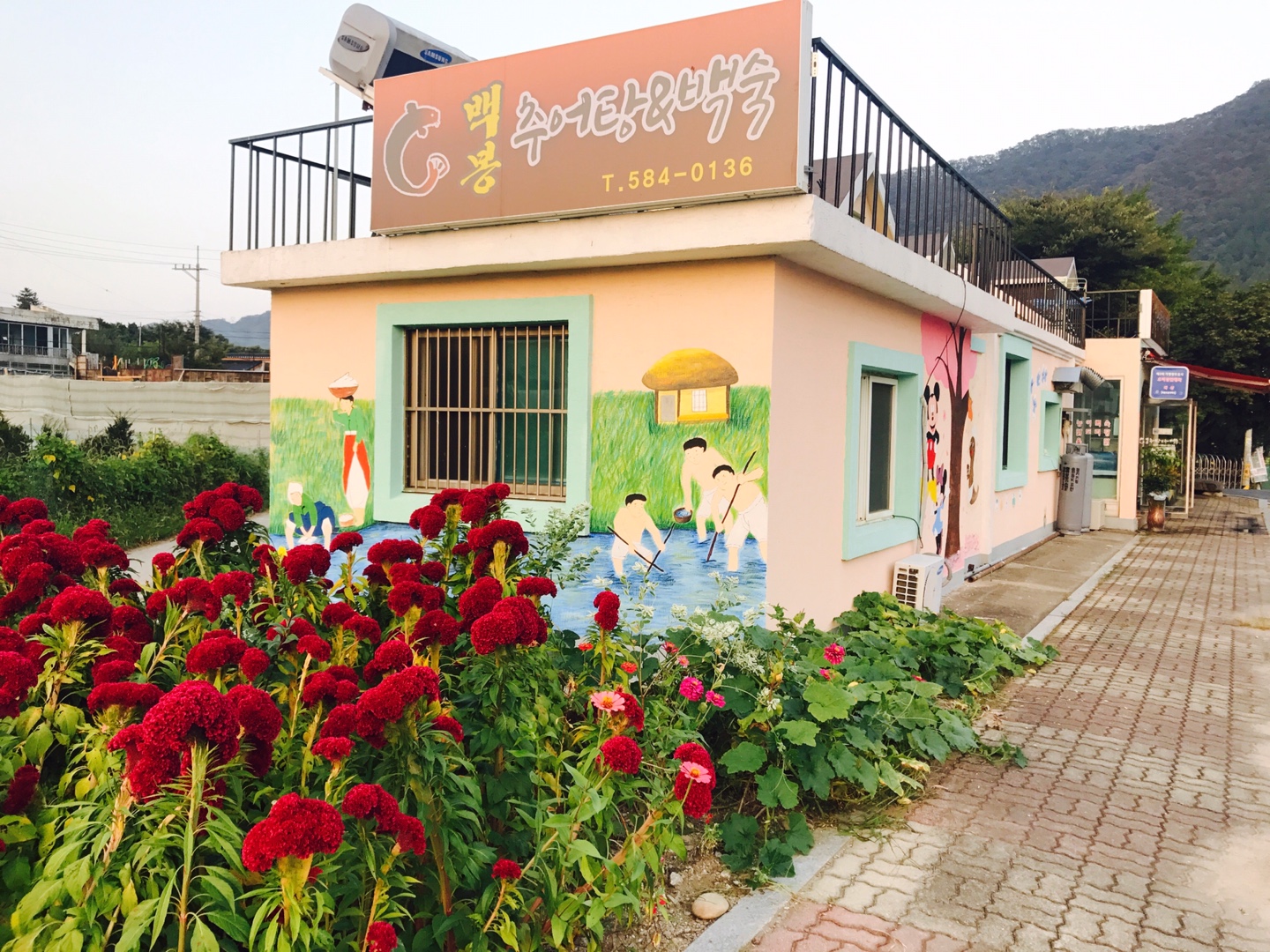 청평백봉오골계