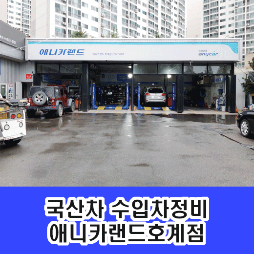 애니카랜드 호계점