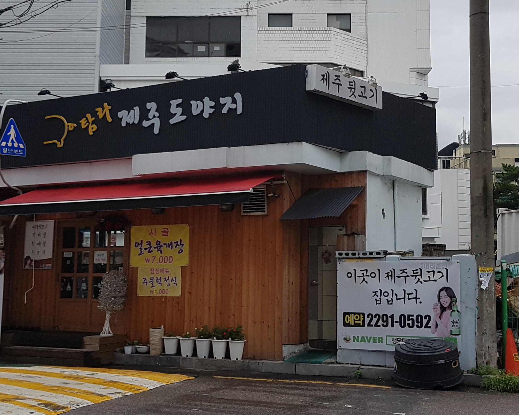 탐라제주도야지