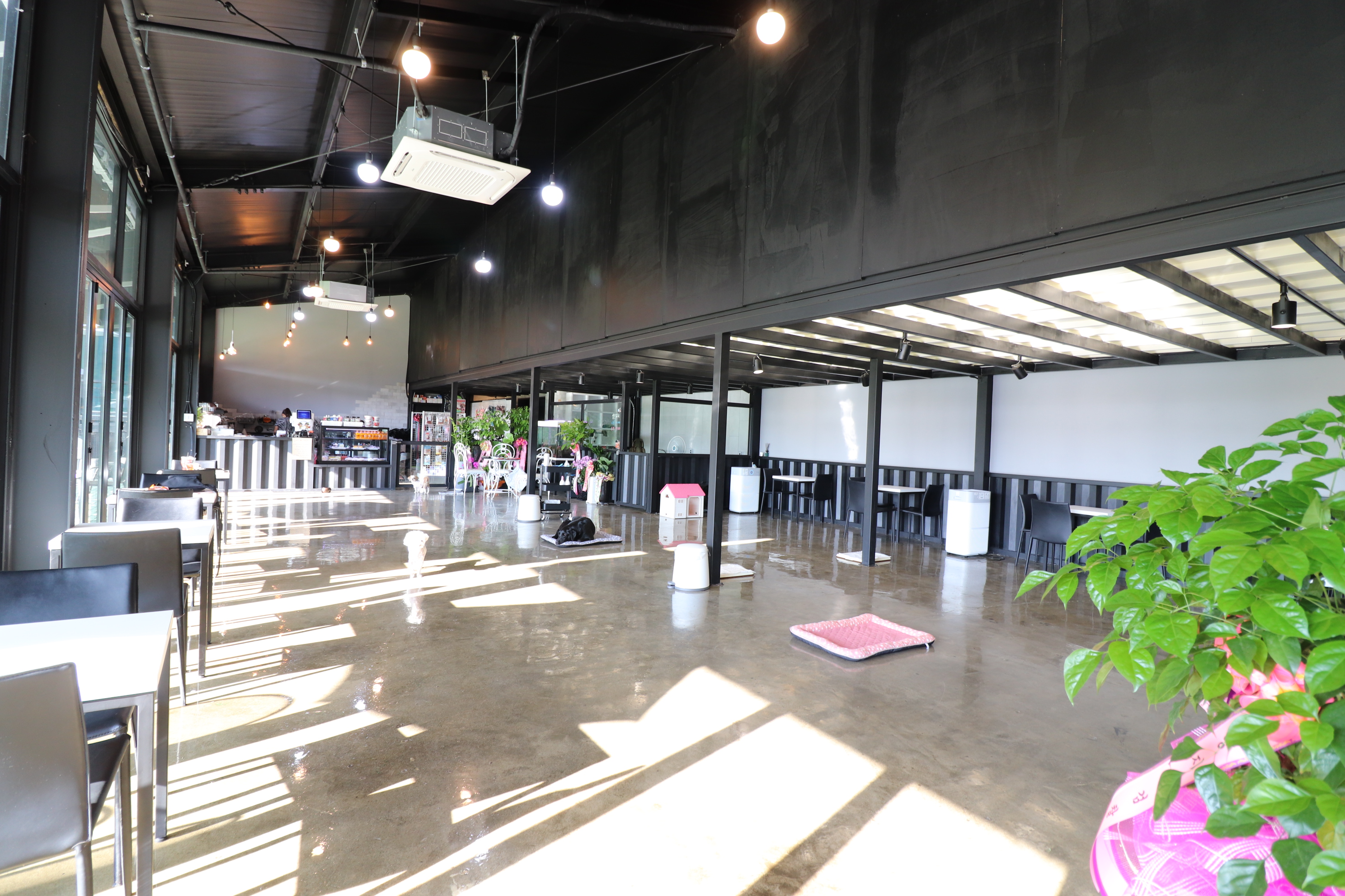 개스타하우스 대표 이미지