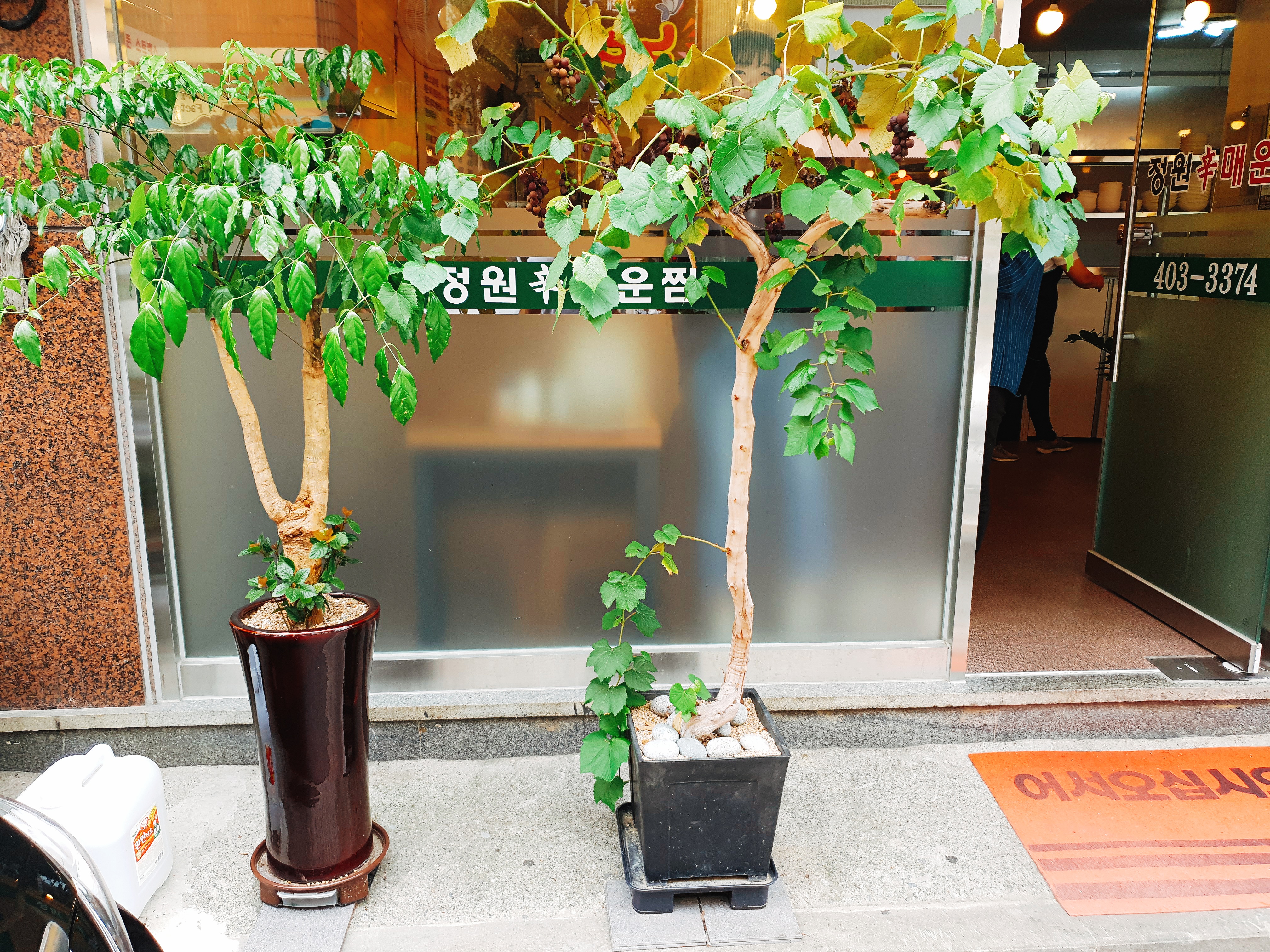 정원매운찜 개롱역본점