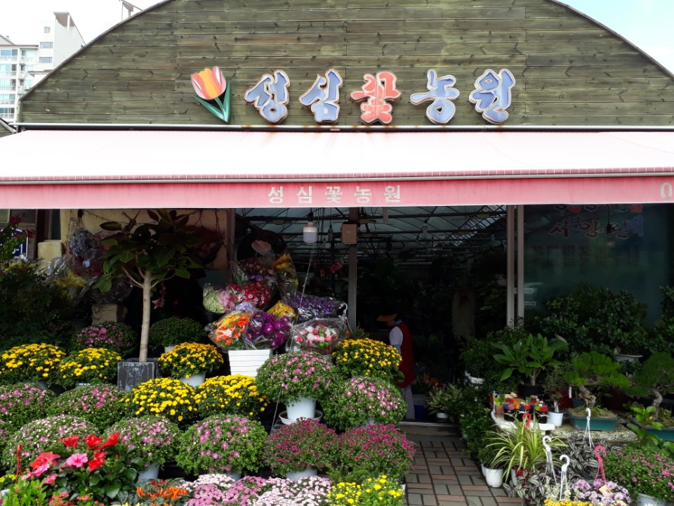 성심화원