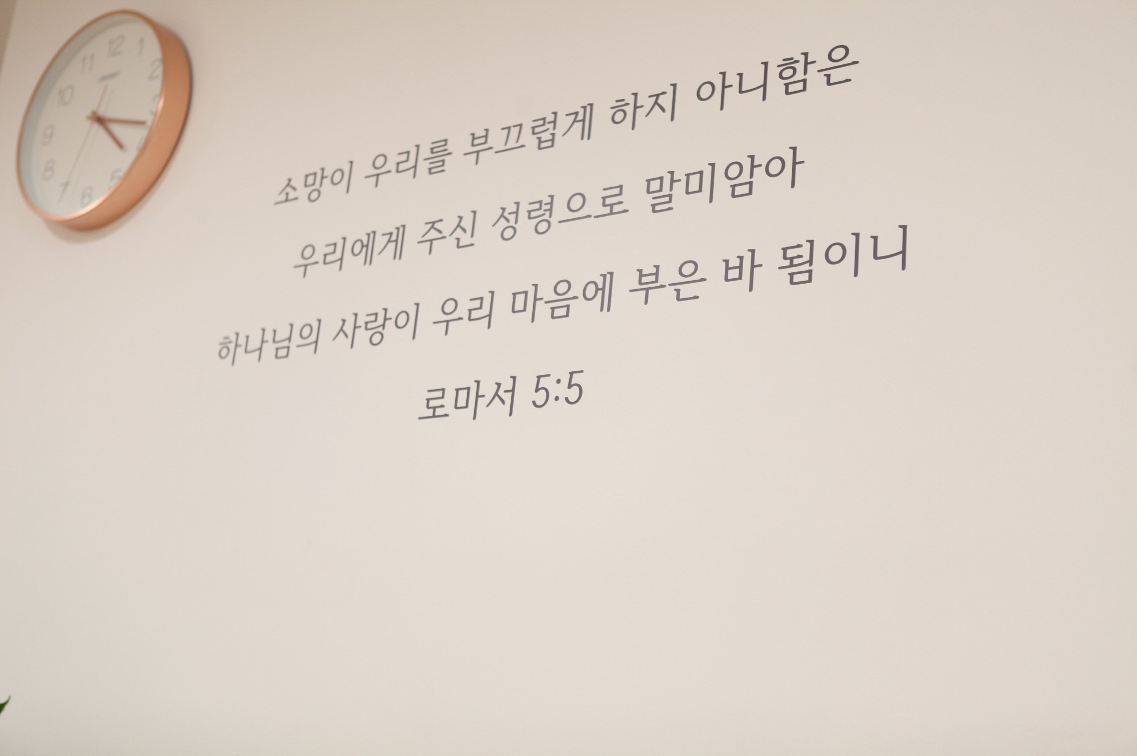 소망의원 대표 이미지