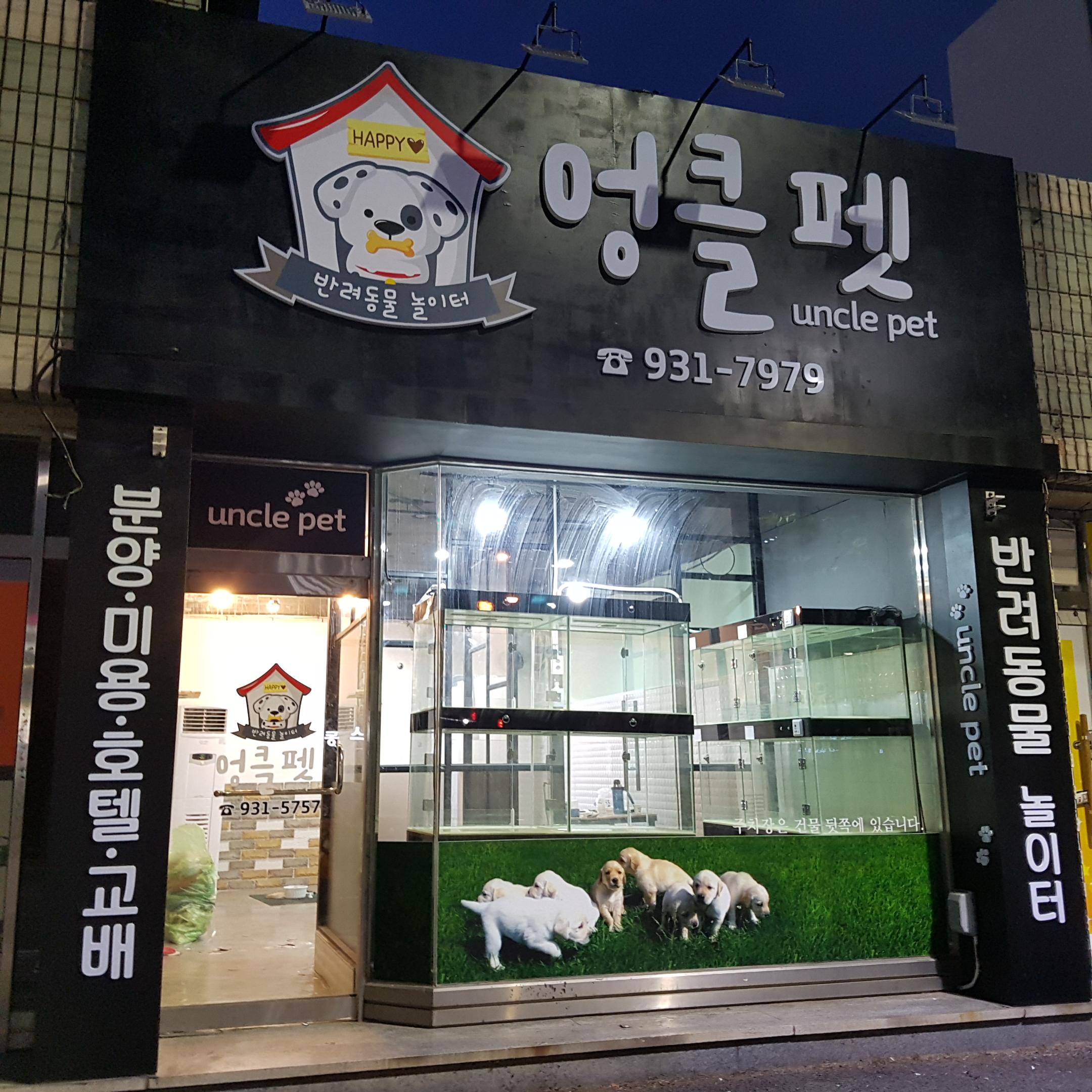엉클펫 대표 이미지