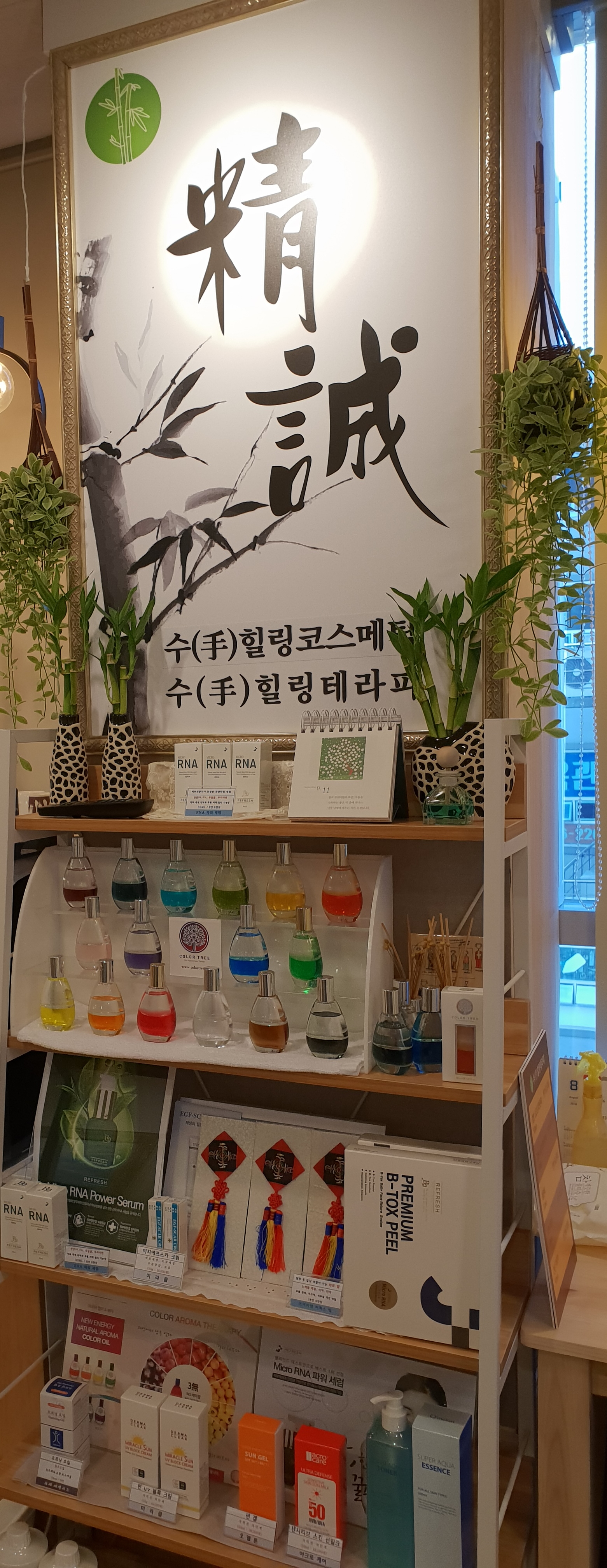 수힐링테라피 photo 3