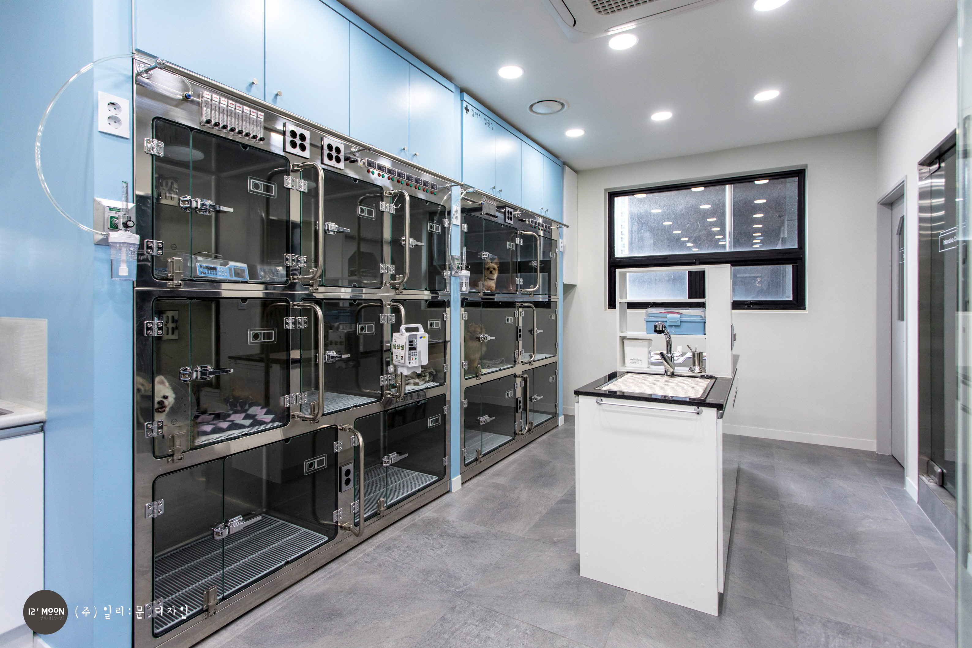 미담 동물 의료센터 대표 이미지