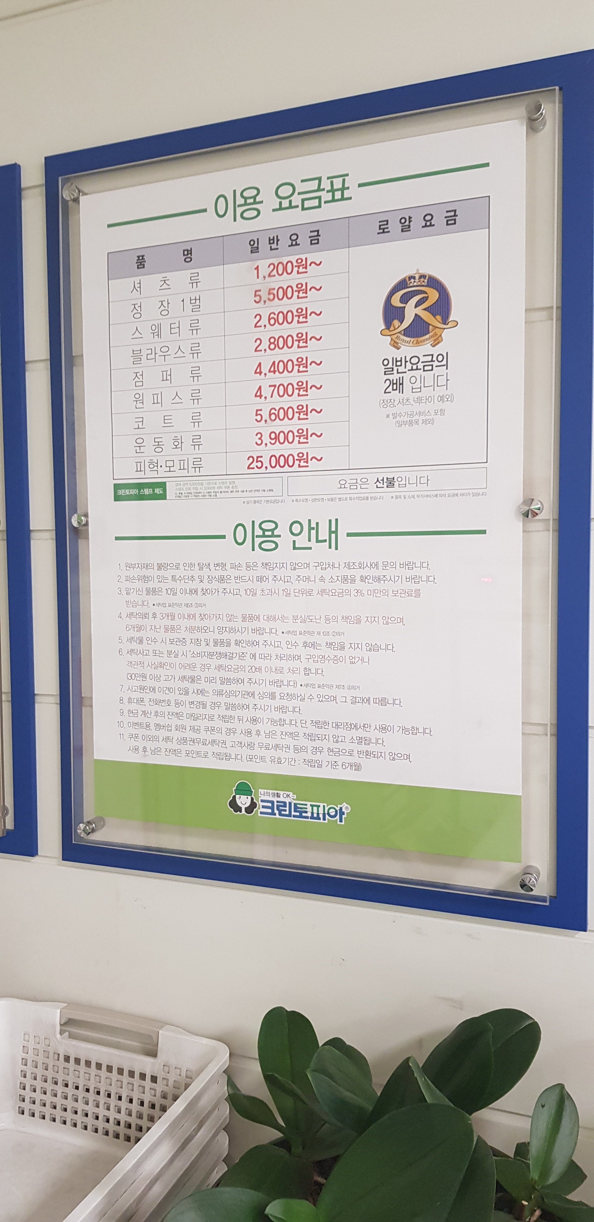 크린토피아 홈플러스킨텍스점