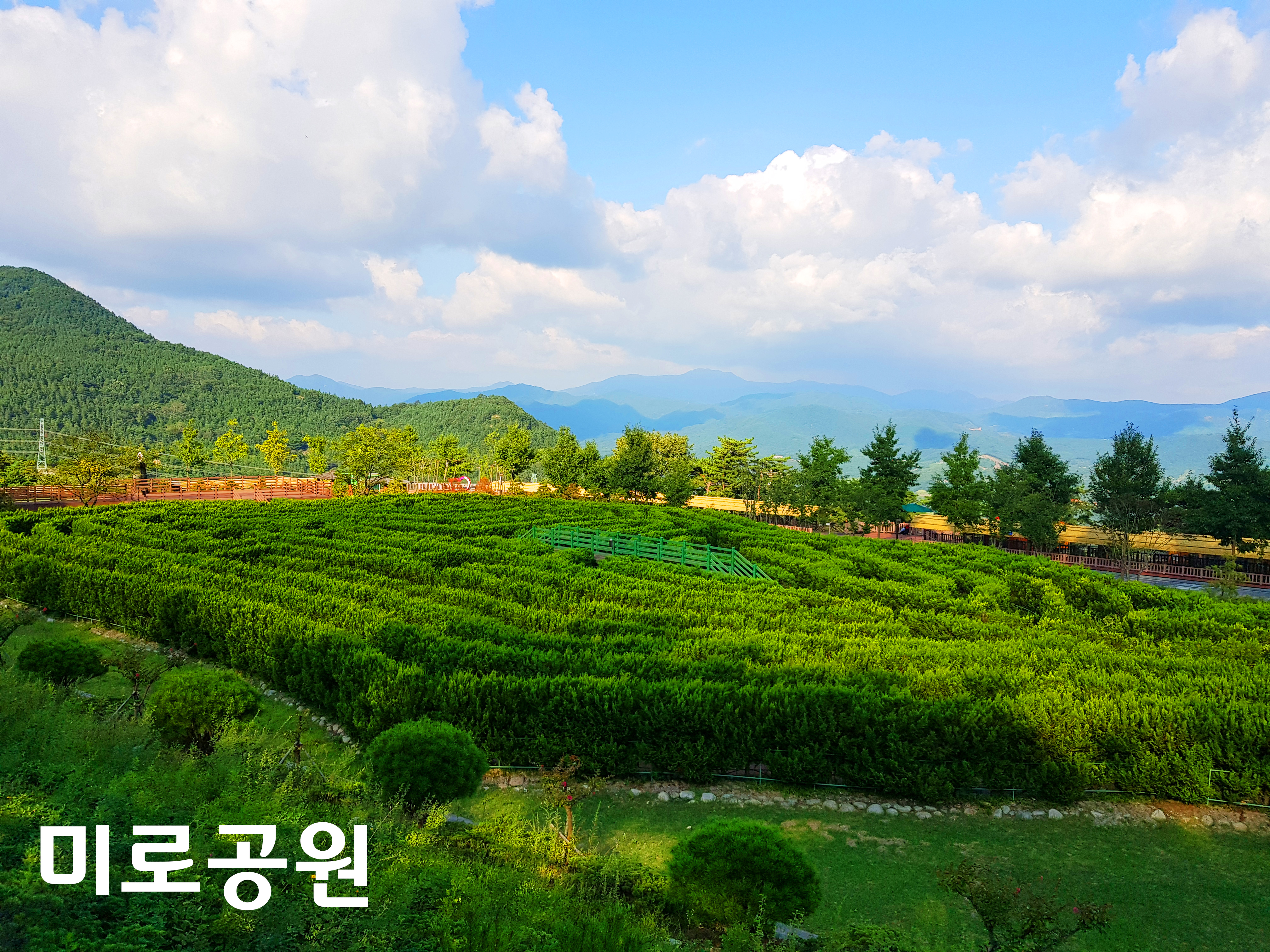 풍차카페수제버거 반려동물 동반 애견카페