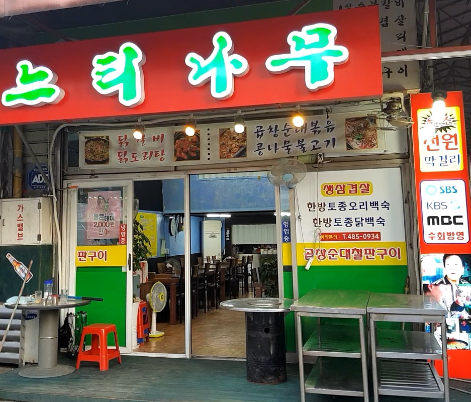 느티나무