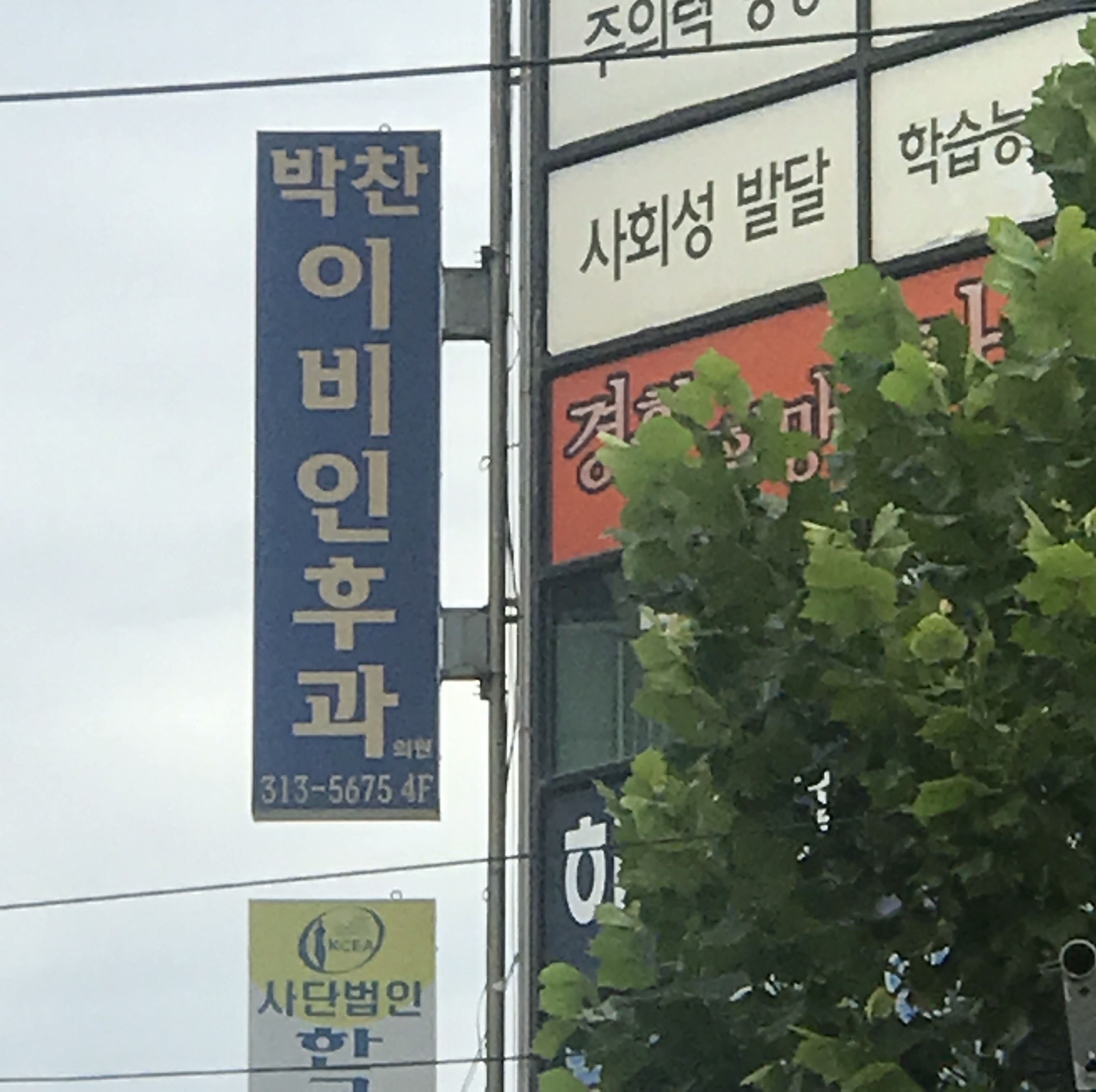 박찬이비인후과의원