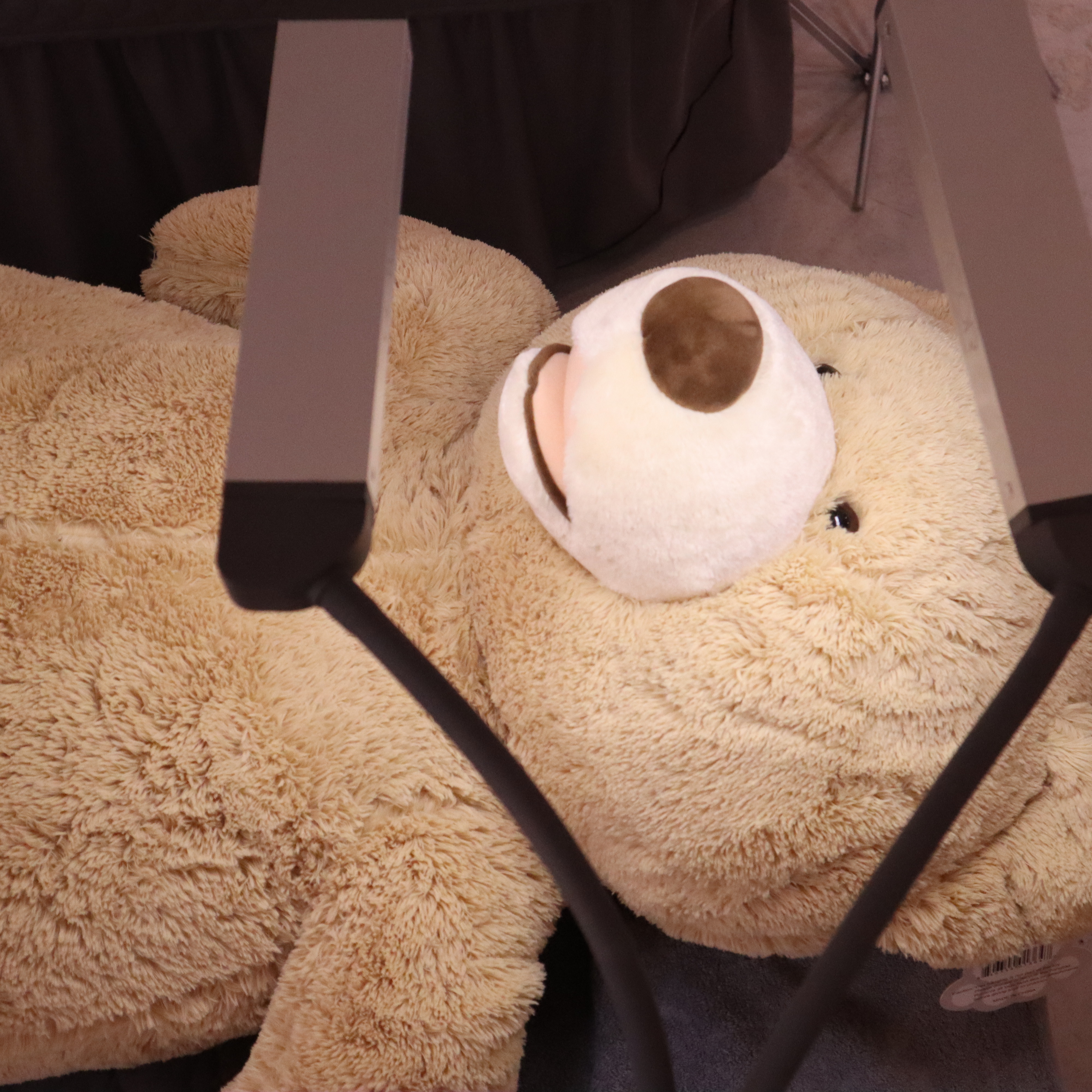 더리얼아이뷰티S 대표 이미지