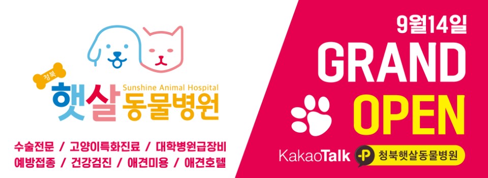 청북햇살동물병원 반려동물 동반 애견카페
