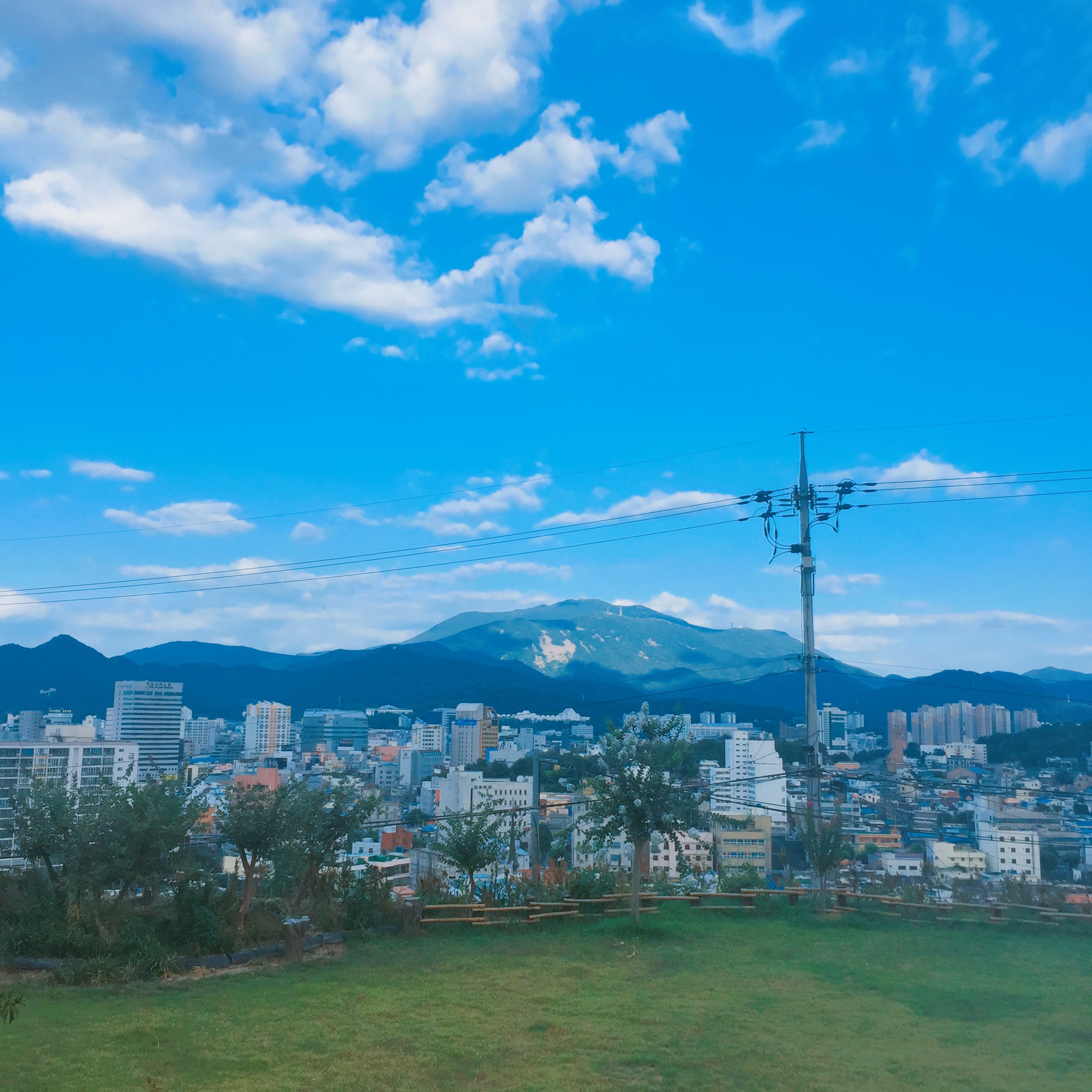 덕림산방 반려동물 동반 카페