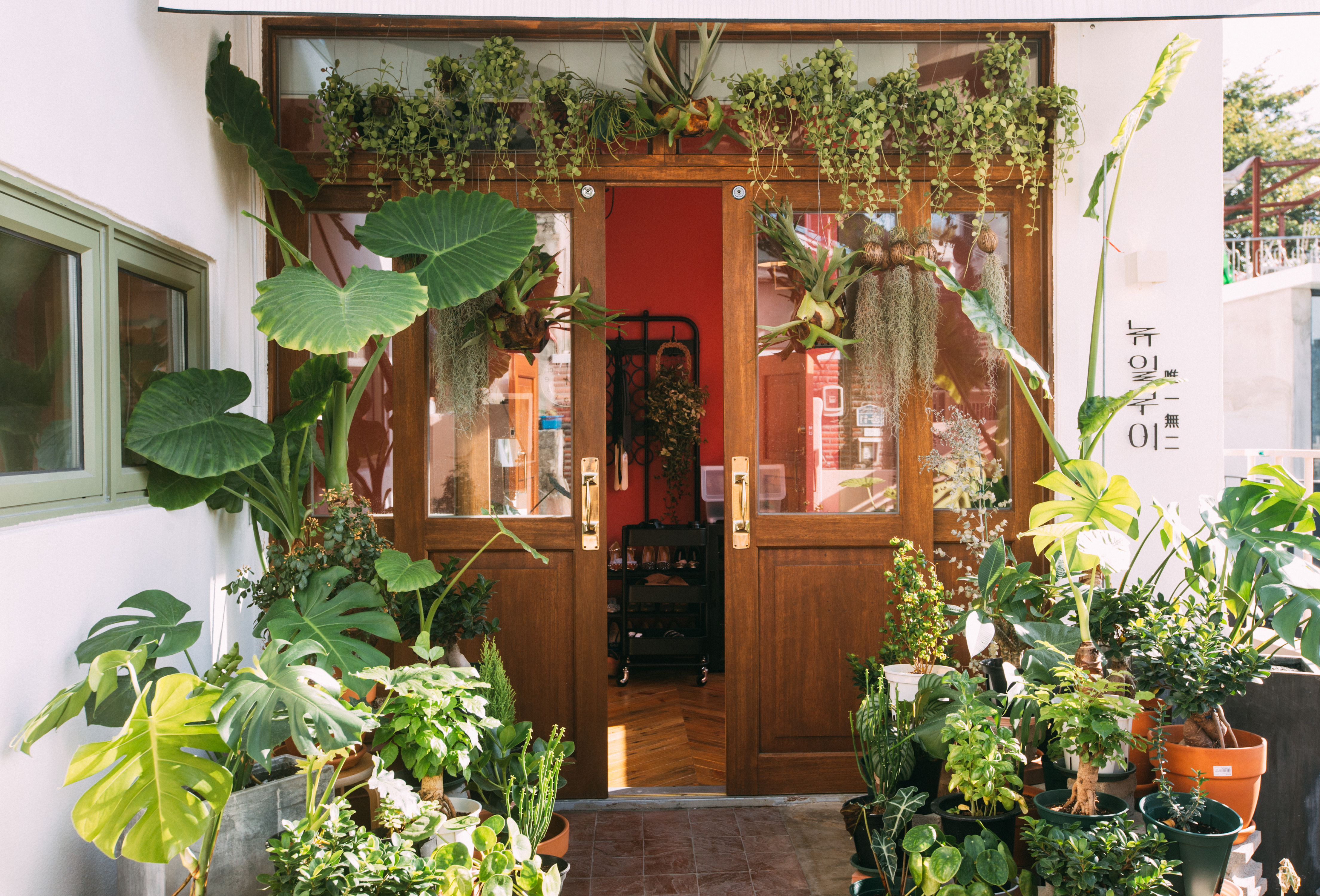 뉴일무이 대표 이미지