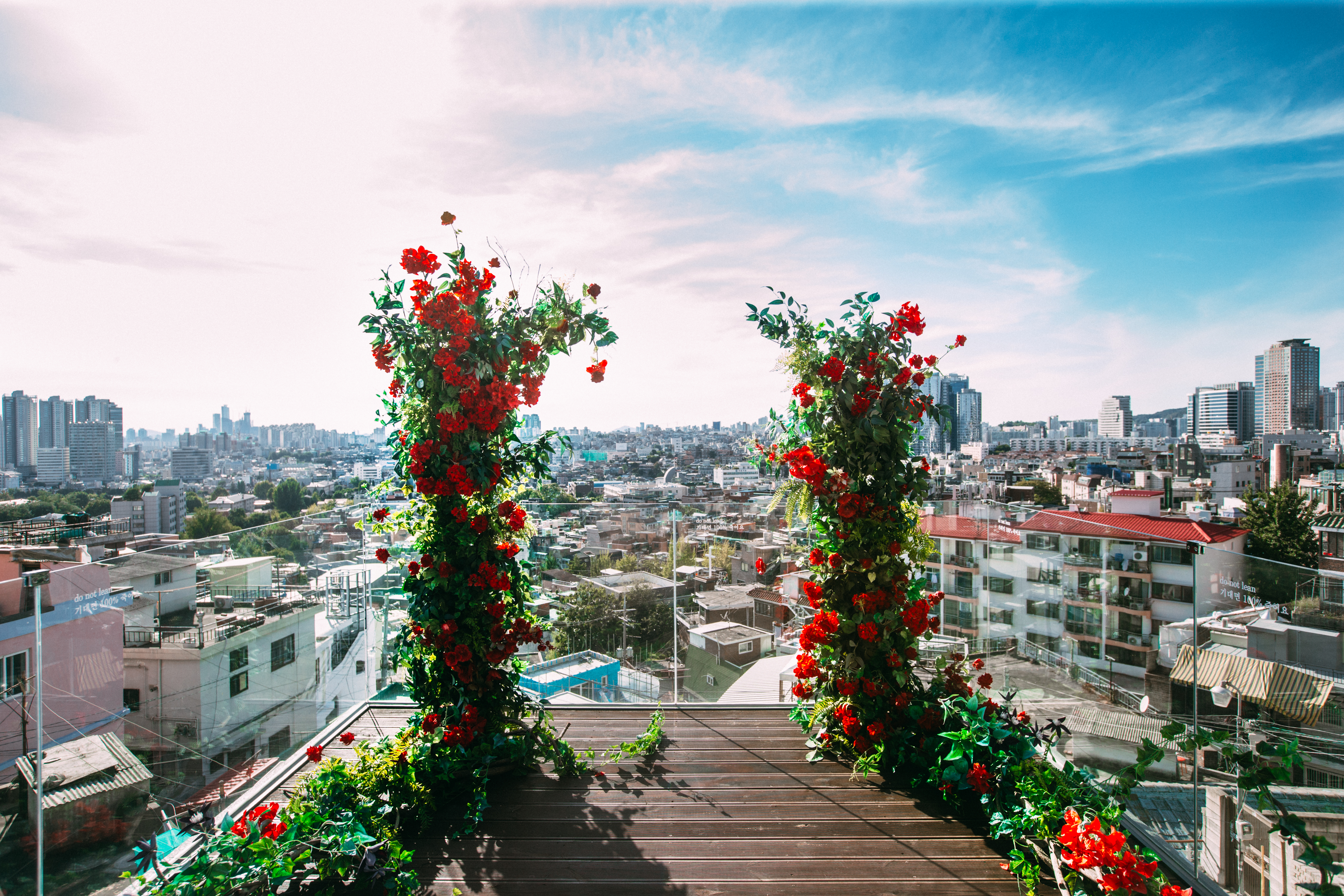 뉴일무이 대표 이미지