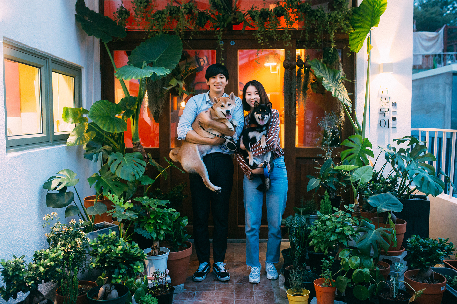 뉴일무이 대표 이미지