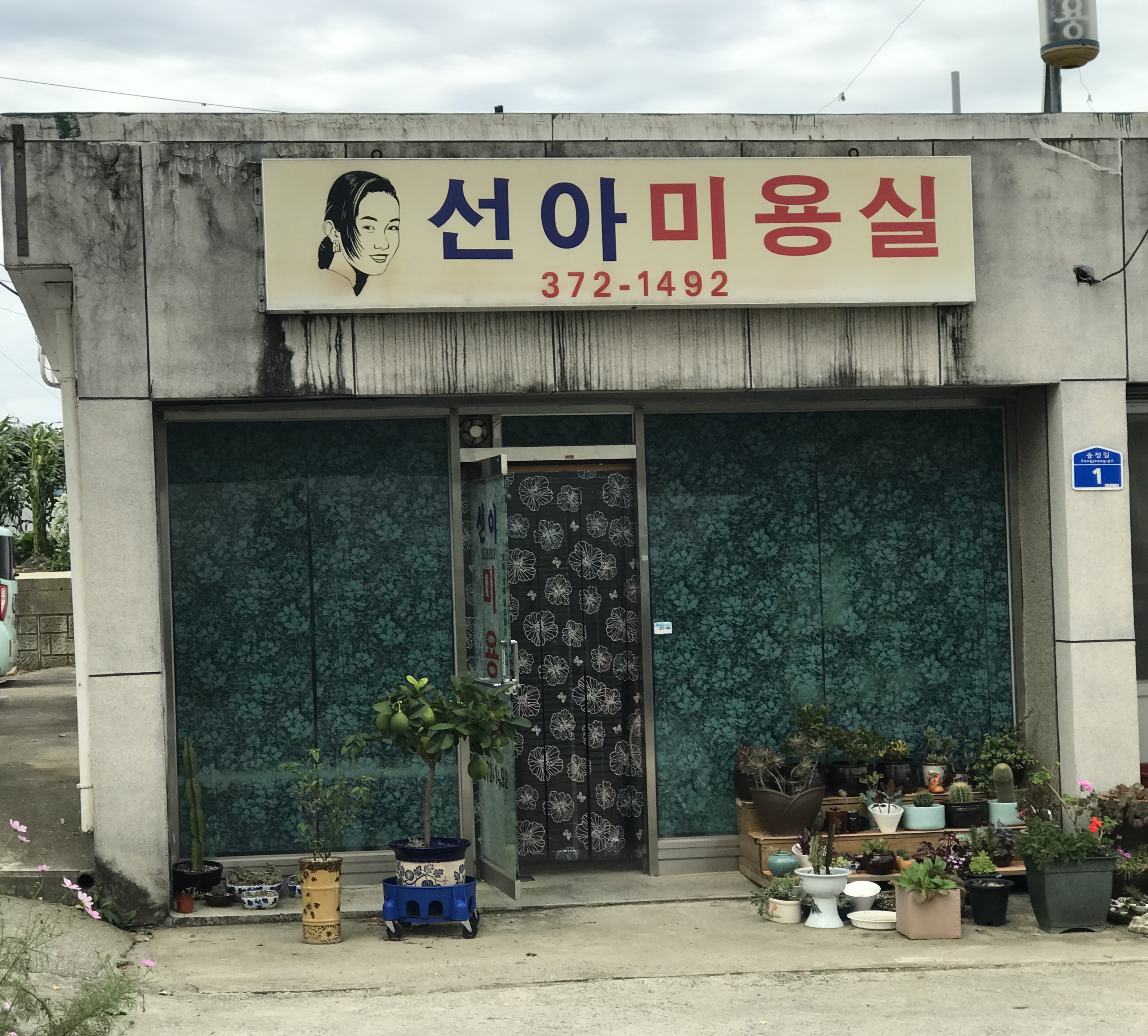 선아미용실