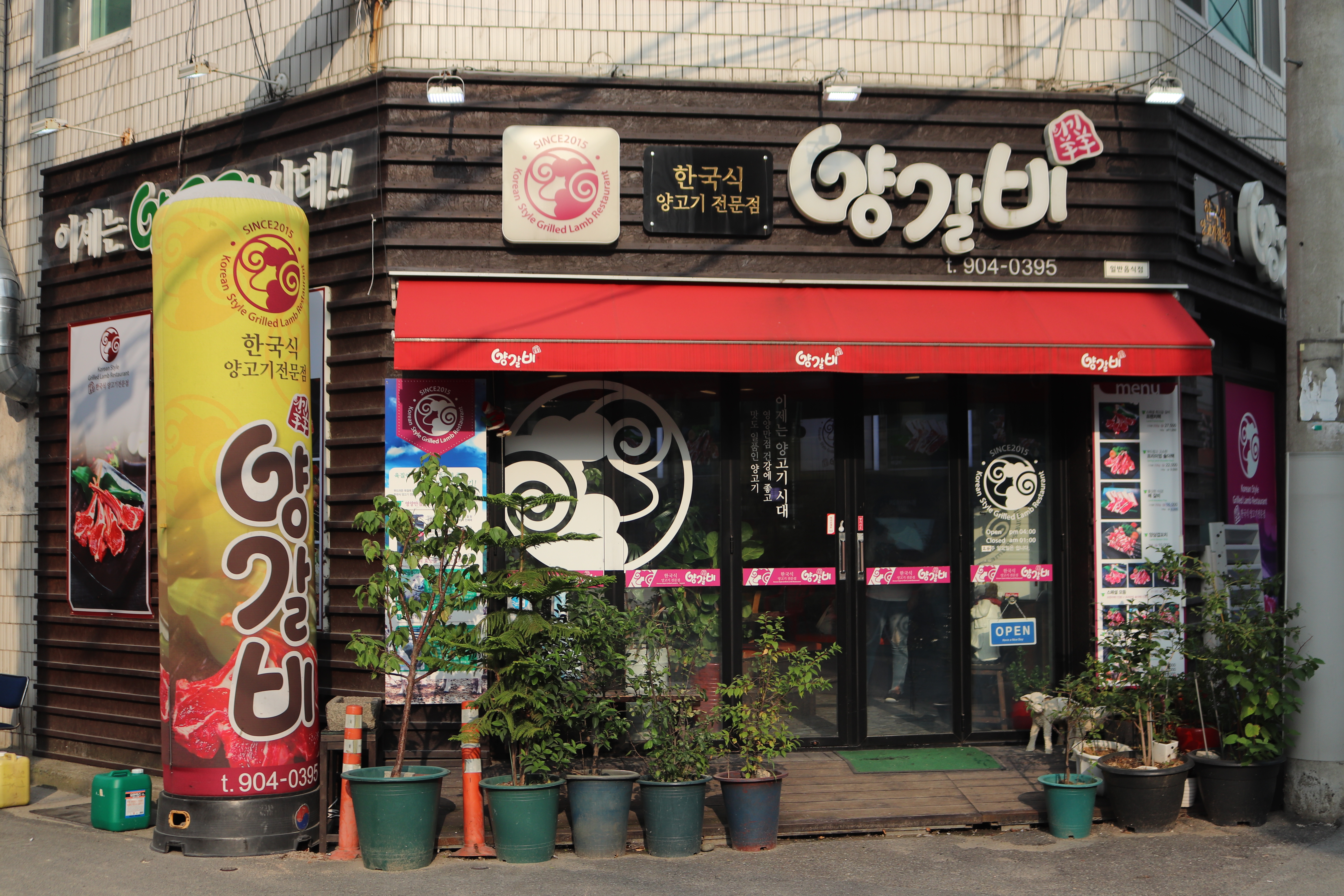 의기양양 양갈비
