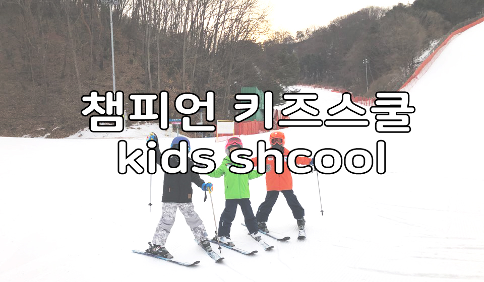 비발디 파크 스키보드강습 챔피언스키학교