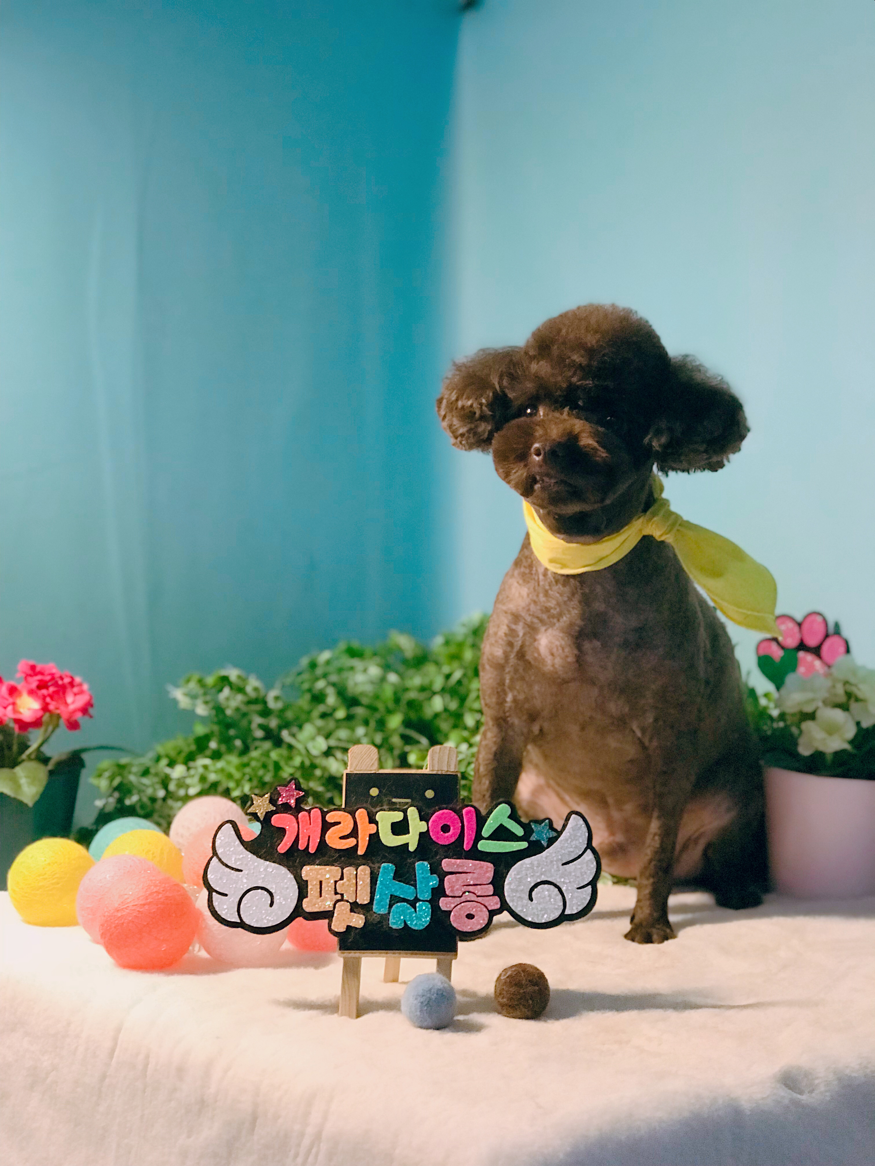 이미지