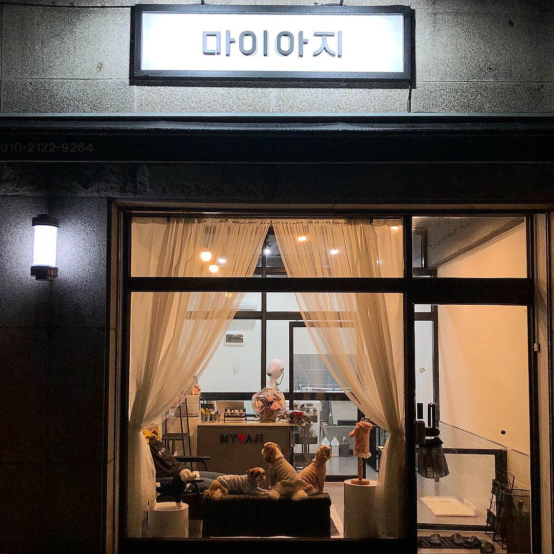 마이아지