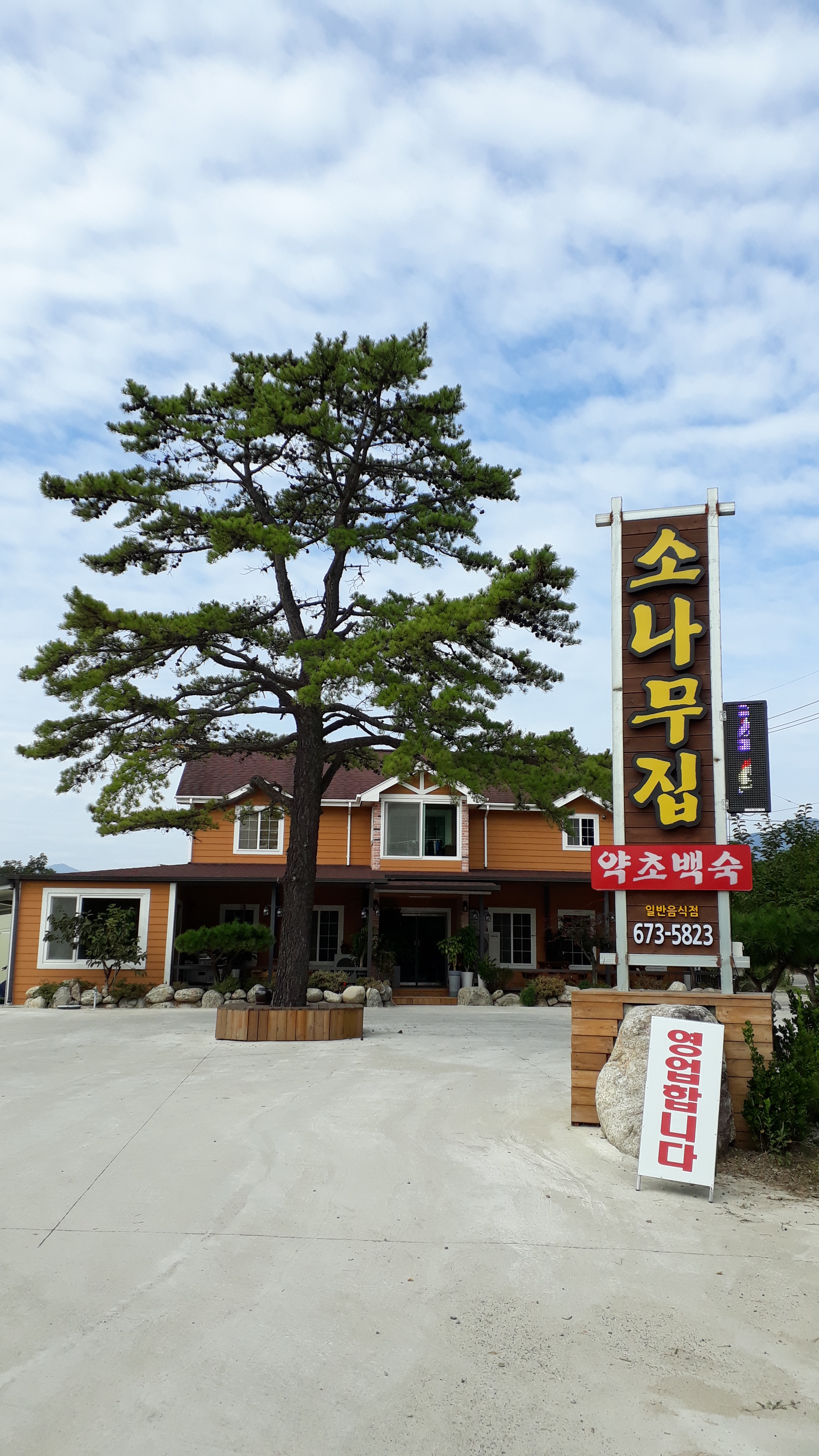소나무집약초백숙